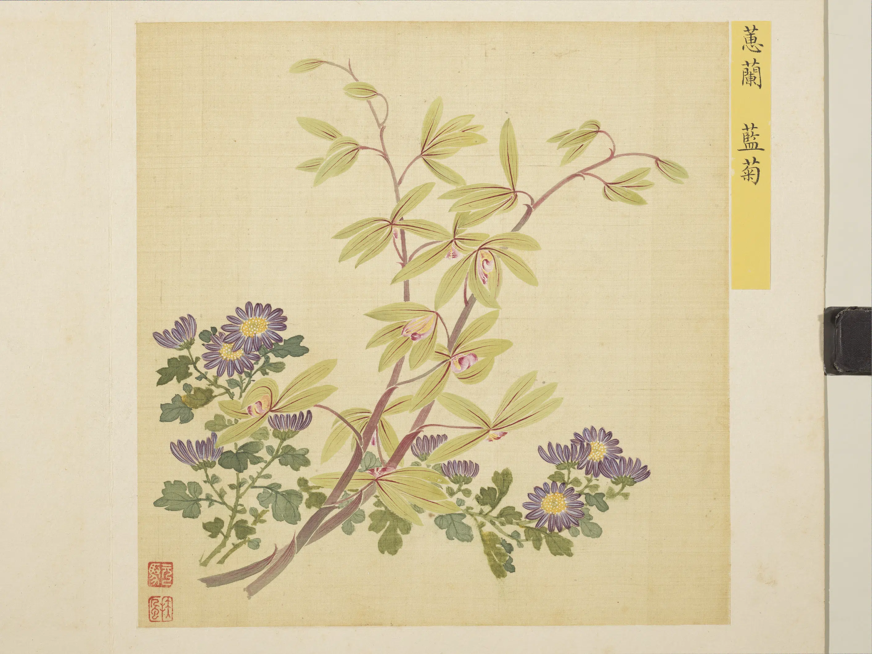 清朝【马元驭】《花卉册》 第12张 清朝【马元驭】《花卉册》 第12张