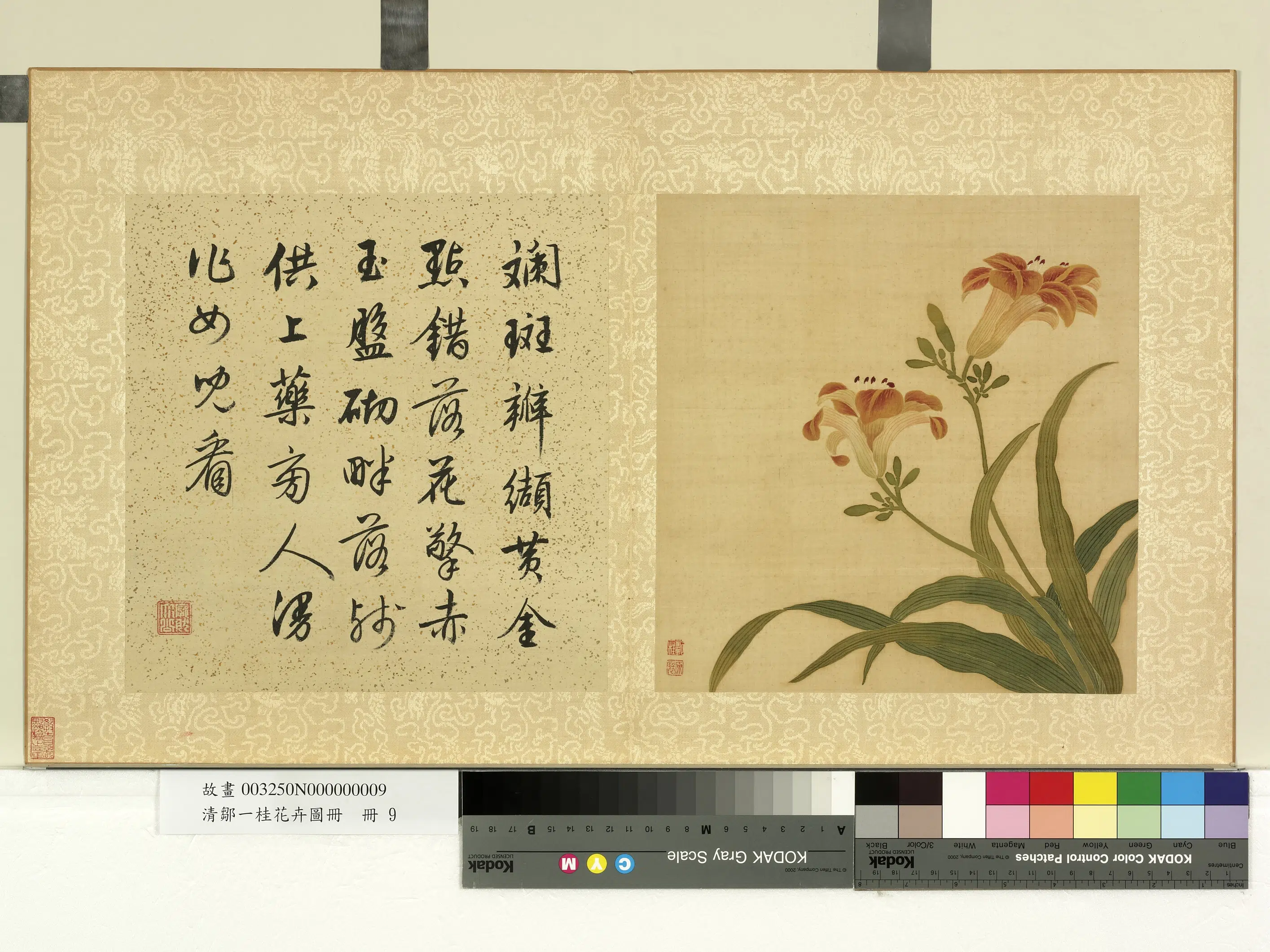 清代【邹一桂】《花卉画册-宜男花》
