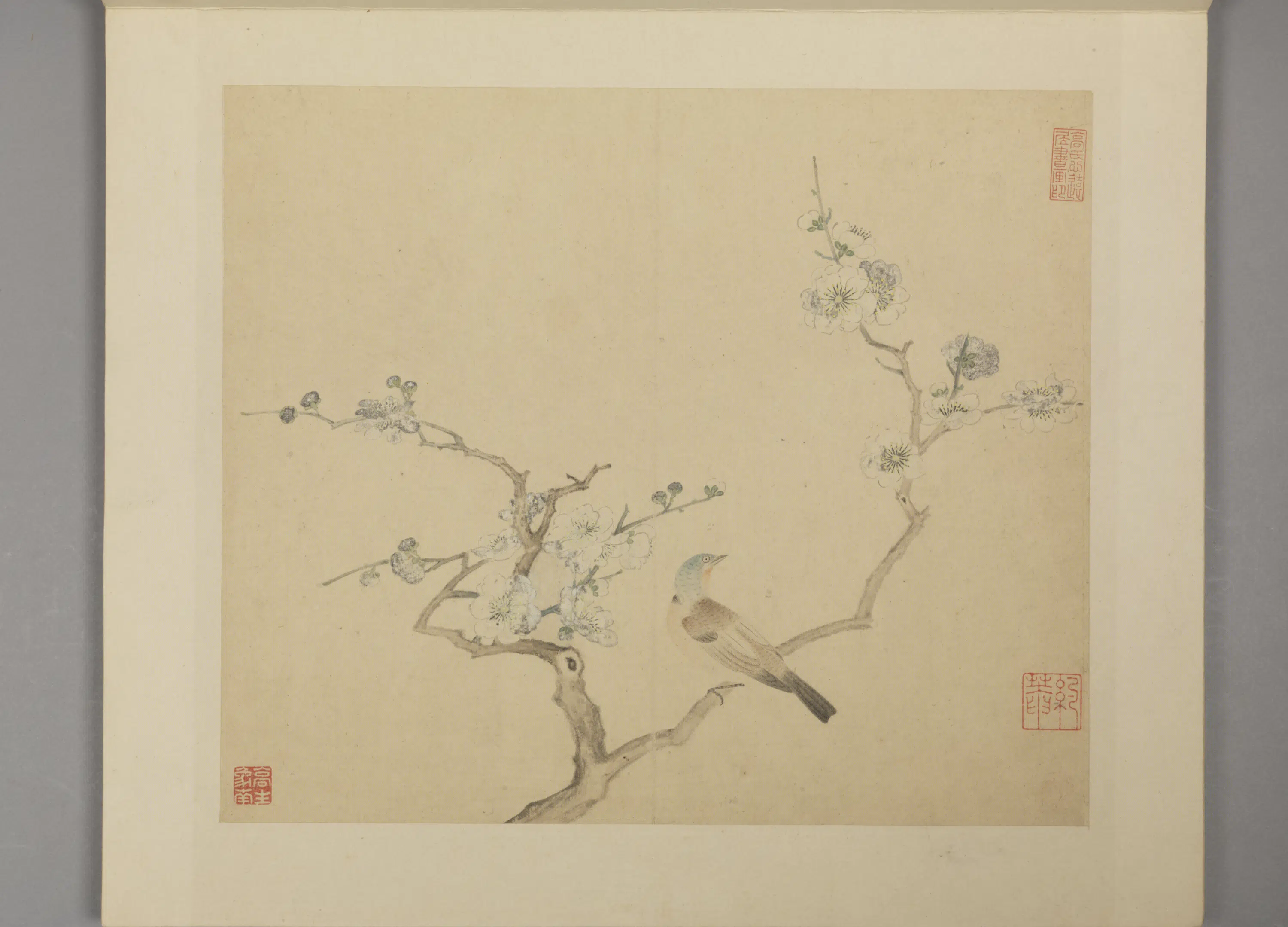 明朝【凌必正】《花鸟册》 第10张