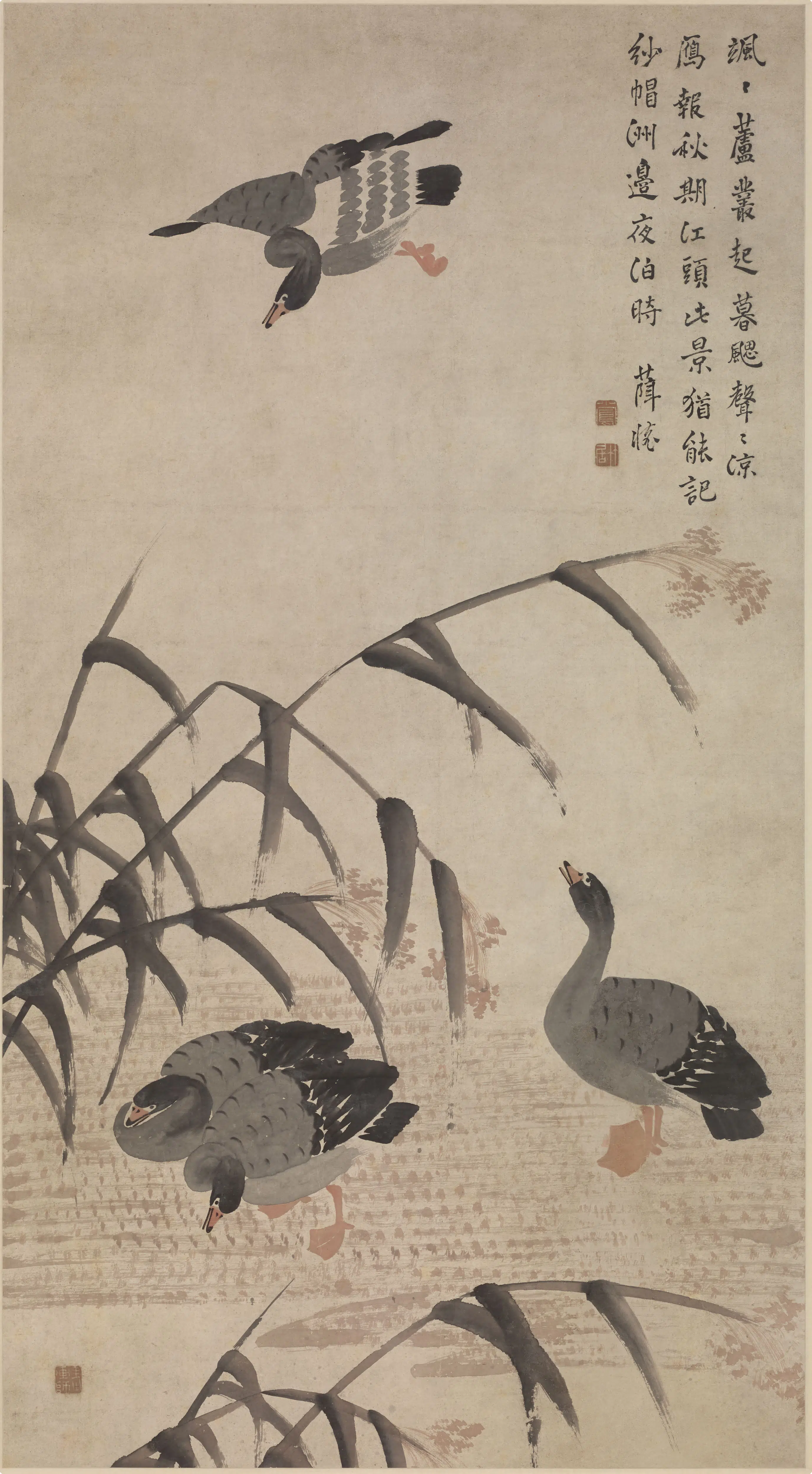 清代【薛怀】《芦雁图轴》