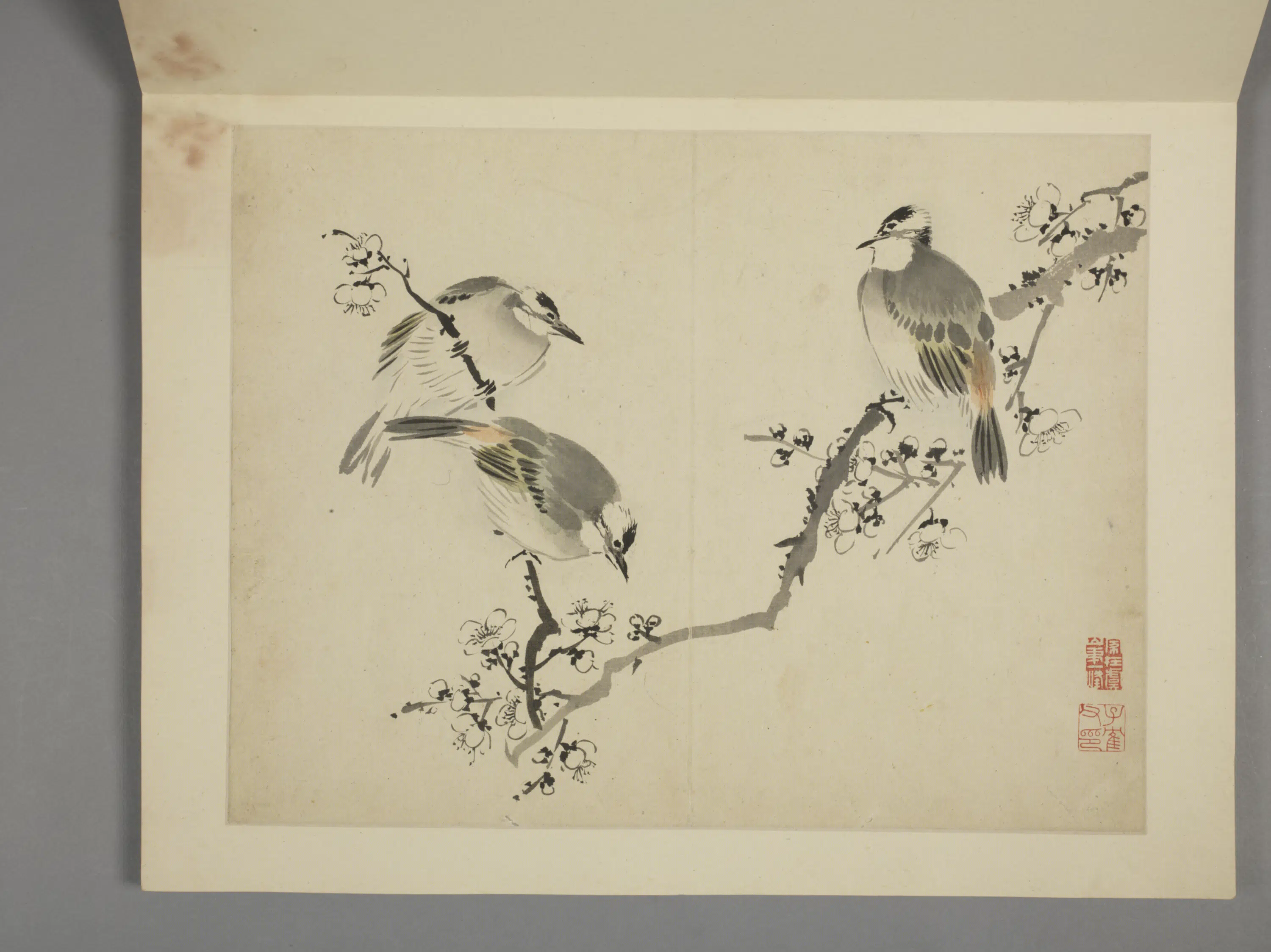 清代【杨晋】《山水花鸟册（10开）》 第9张