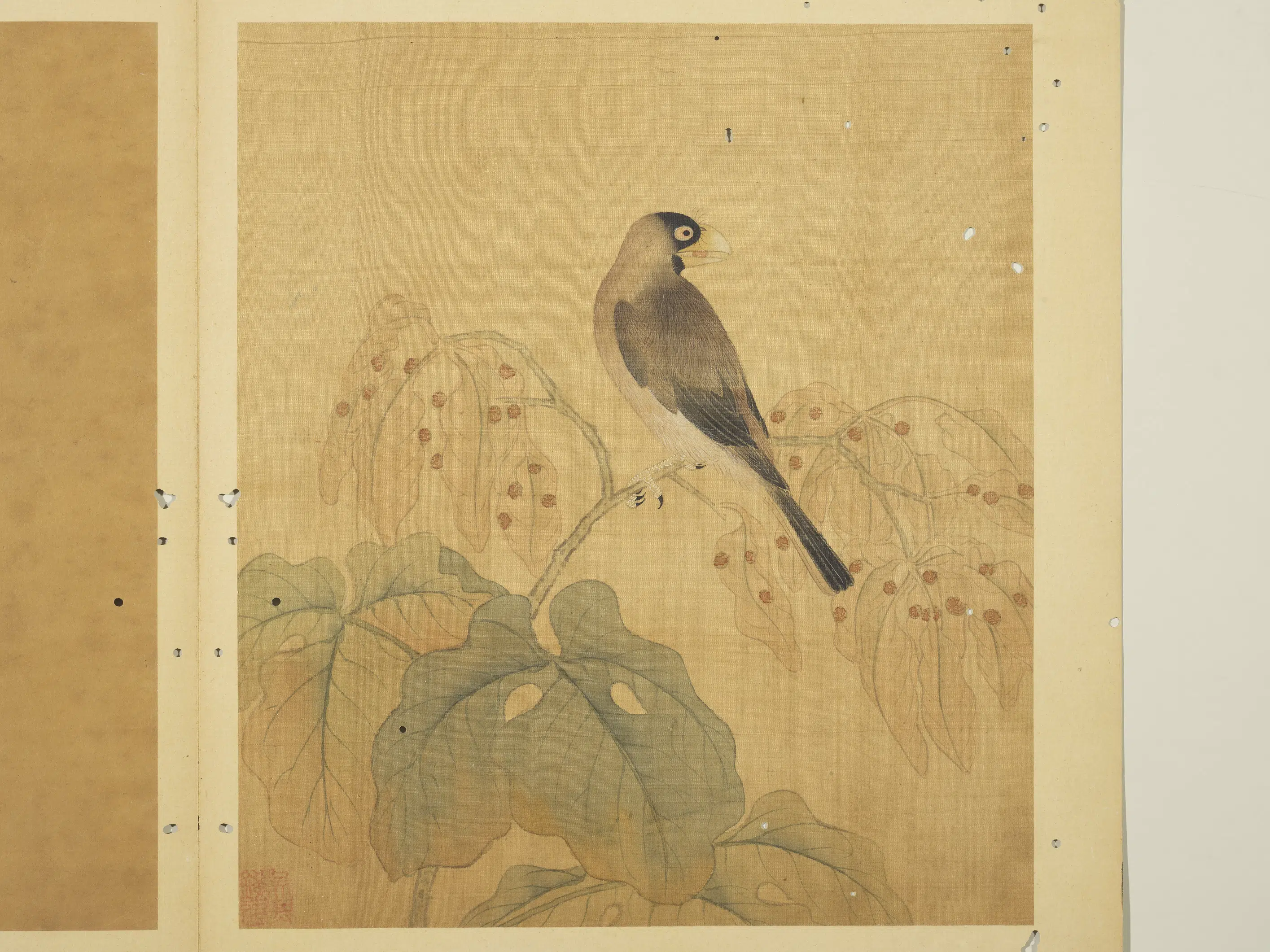 宋-元朝【钱选】《写生图册-桑鸤》
