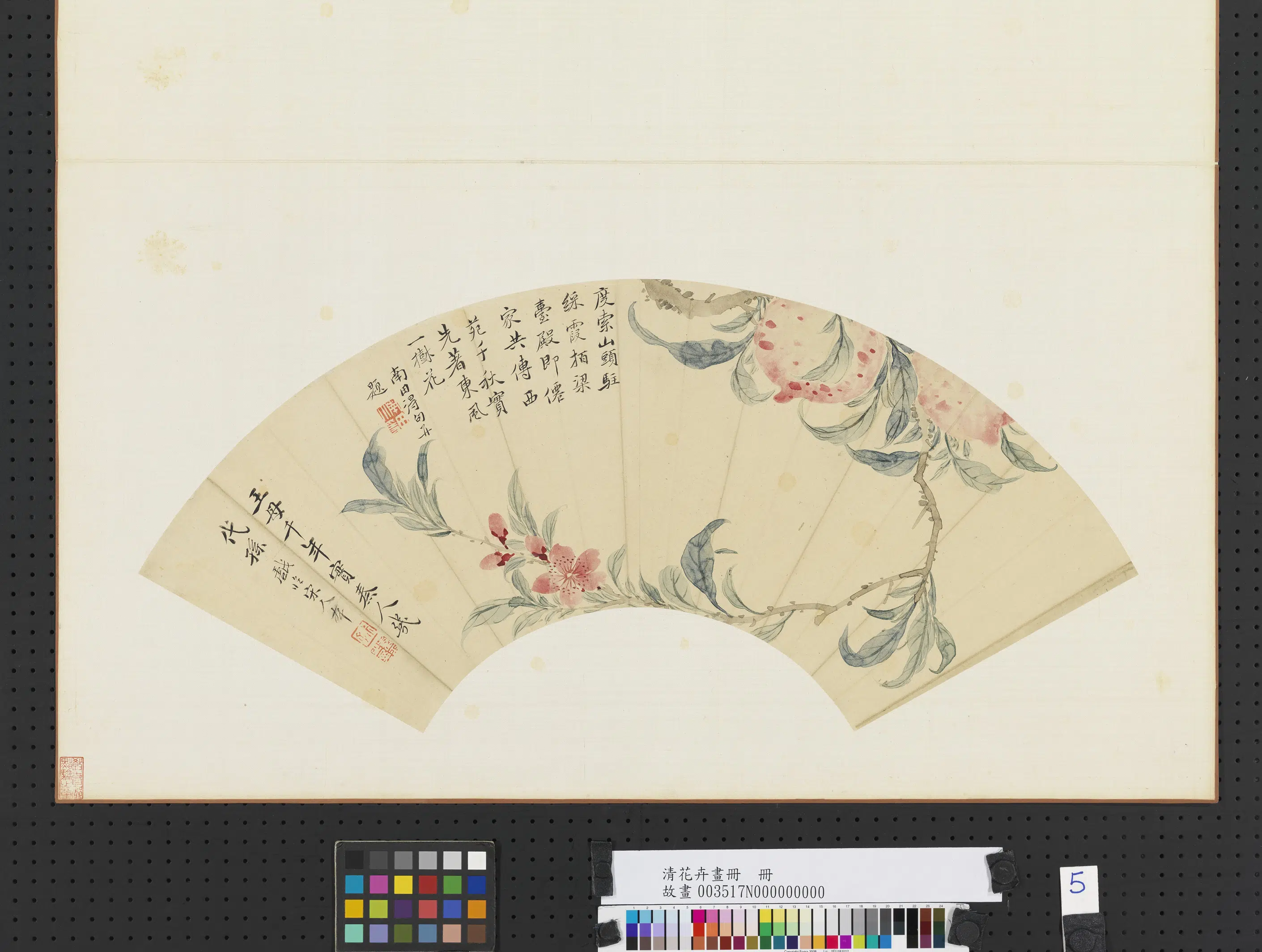 《花卉画册-3》 第2张