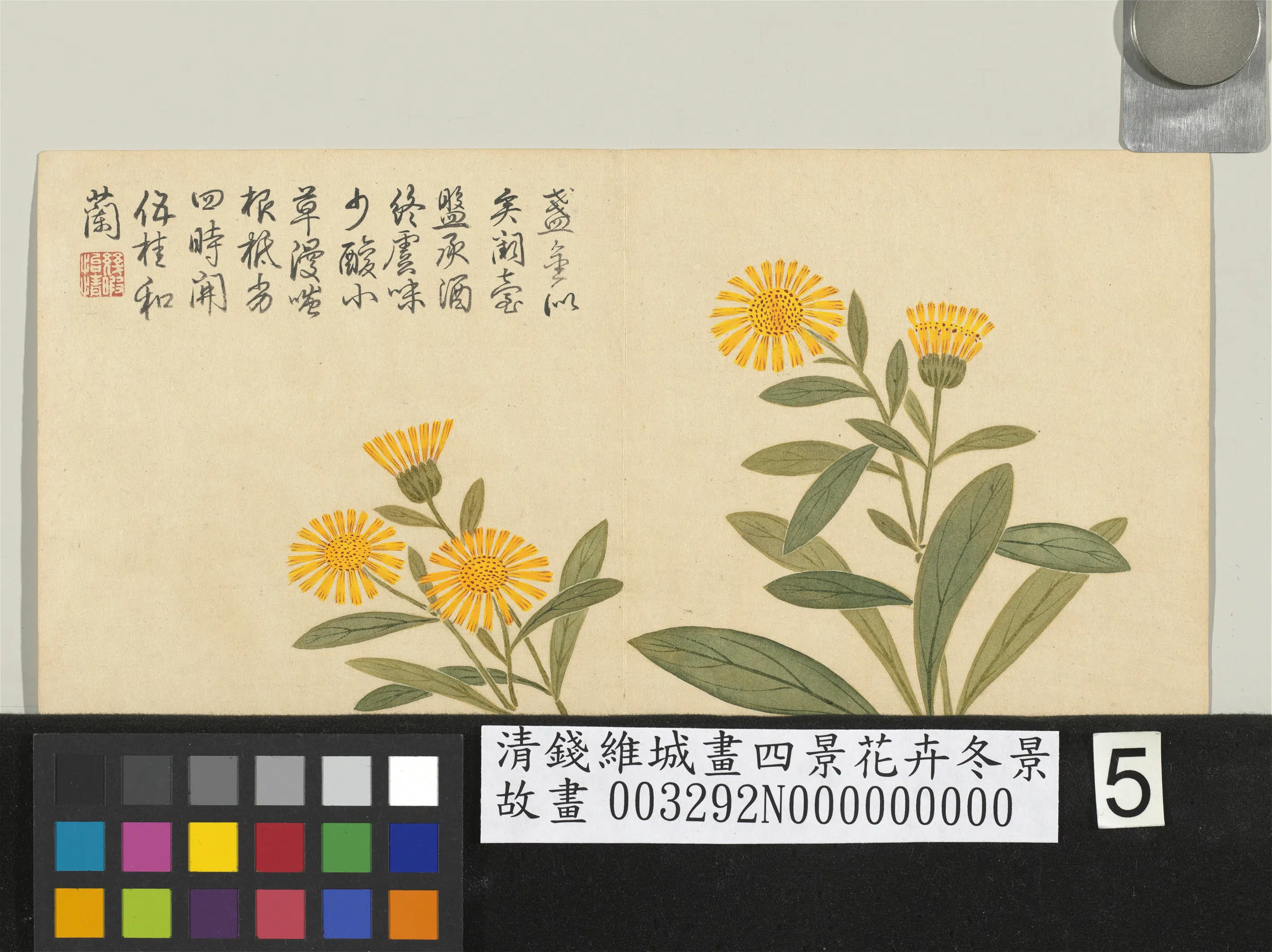 清代【钱维城】《画四景花卉冬景册》 第8张