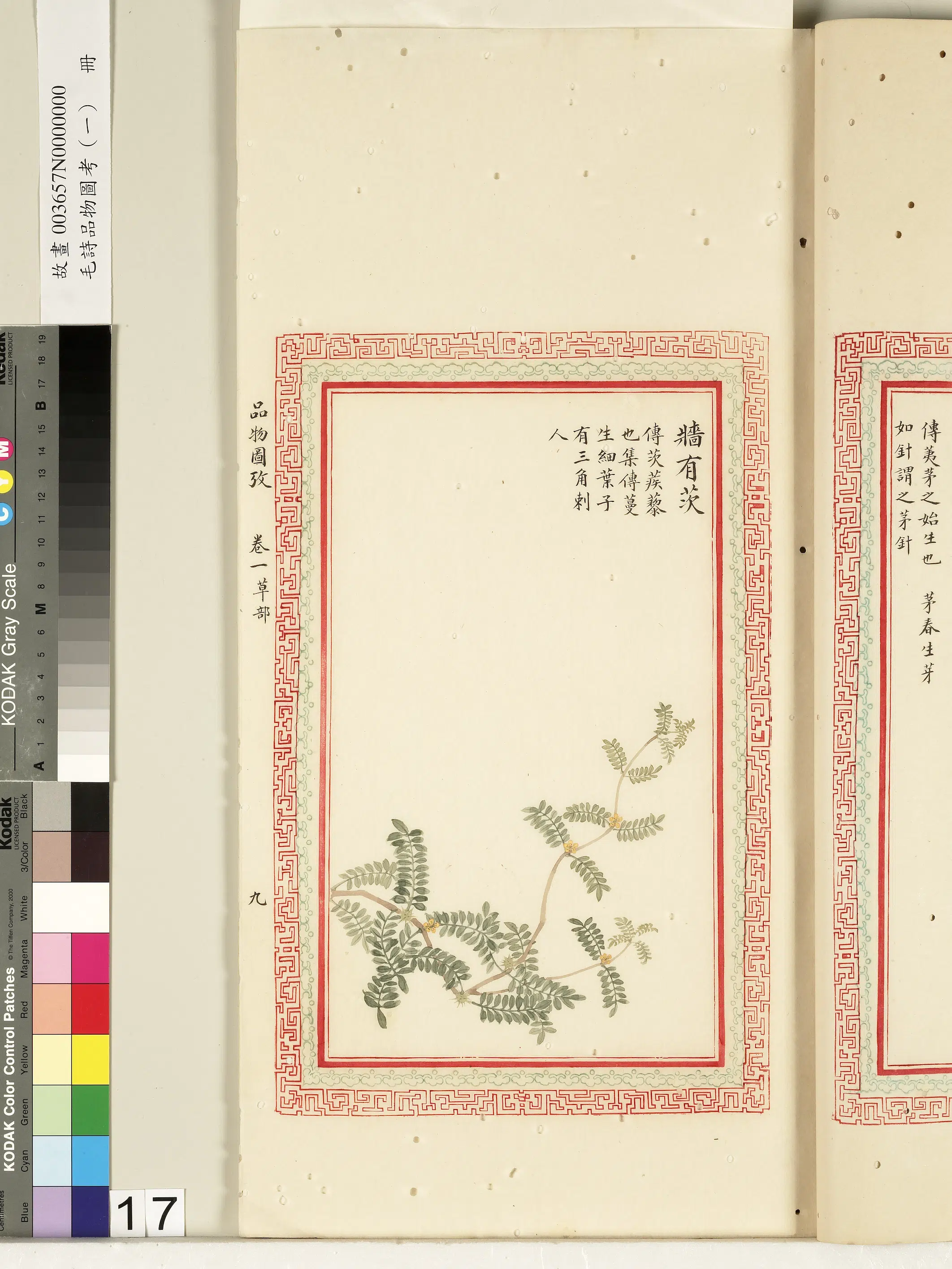 清朝【佚名】《毛诗品物图考（一）册-墙有茨-2》