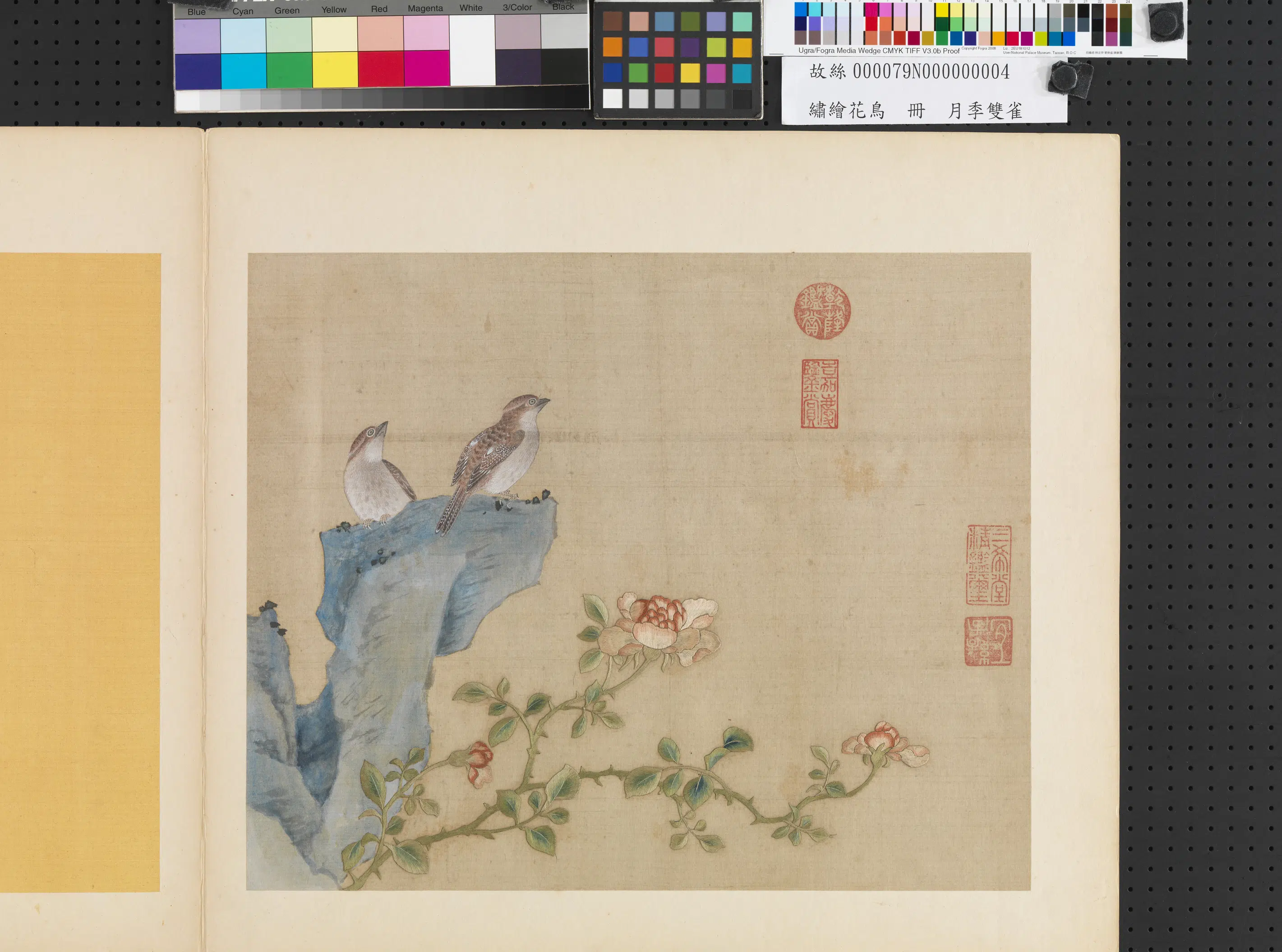 《绣绘花鸟册-月季双雀》