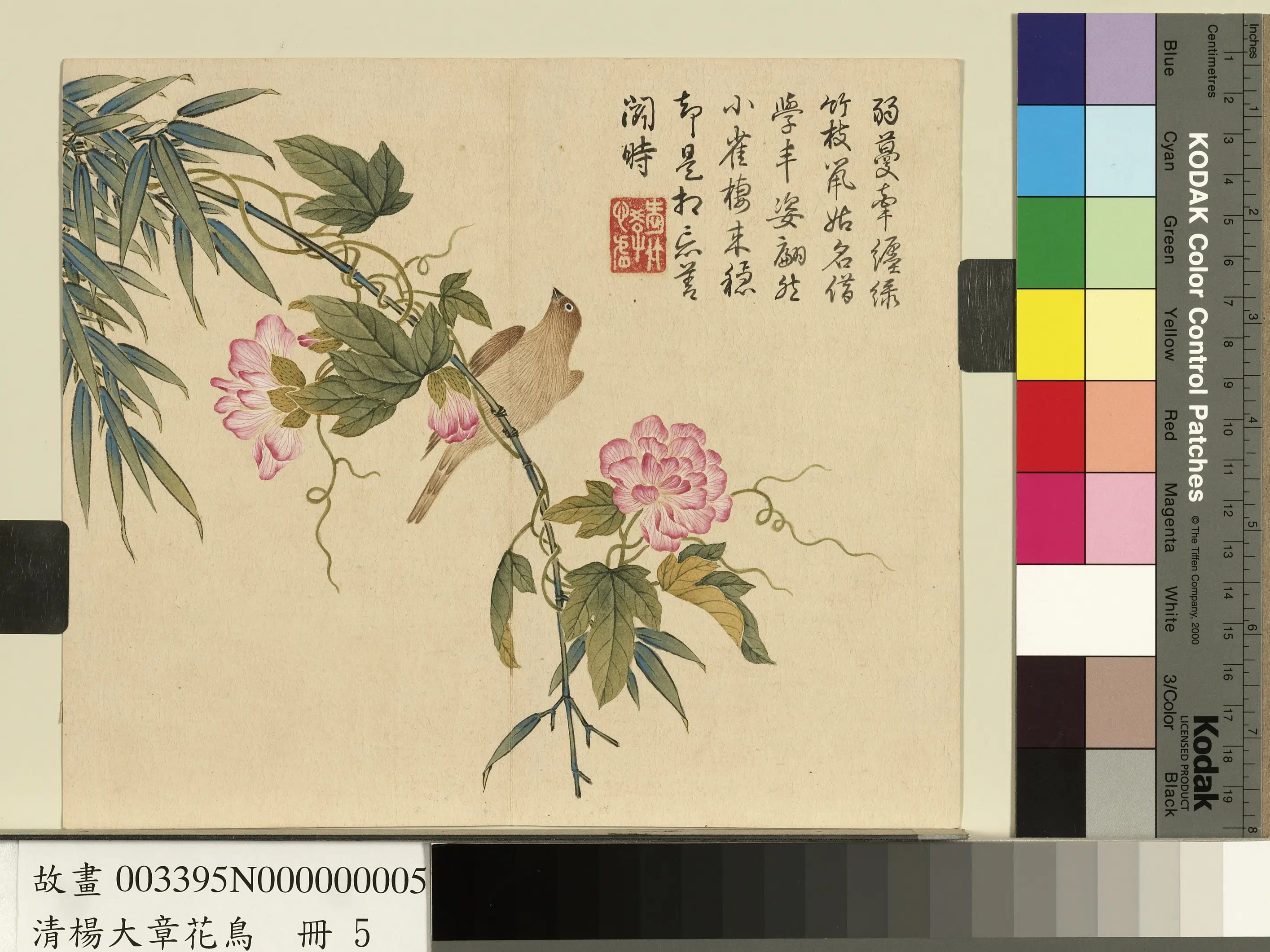 清代【杨大章】《花鸟册-缠枝牡丹黄雀》