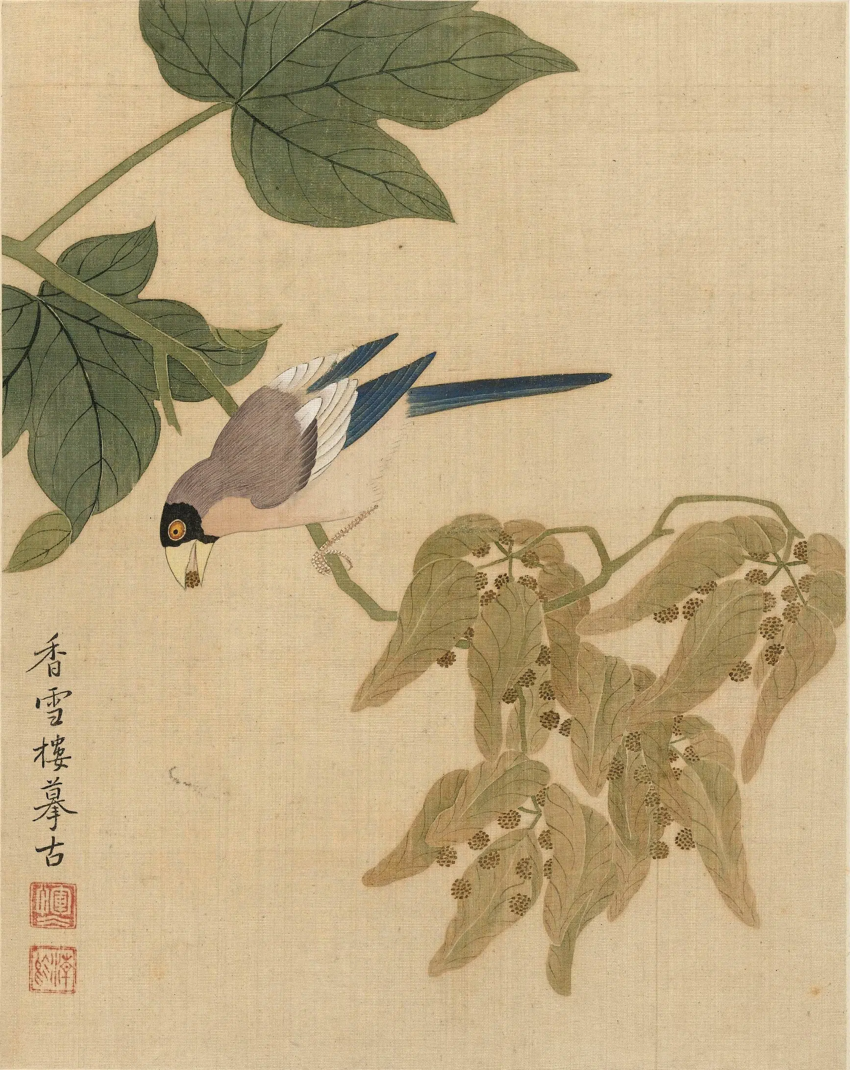 清代【恽冰】《花卉册（十开）》 第9张