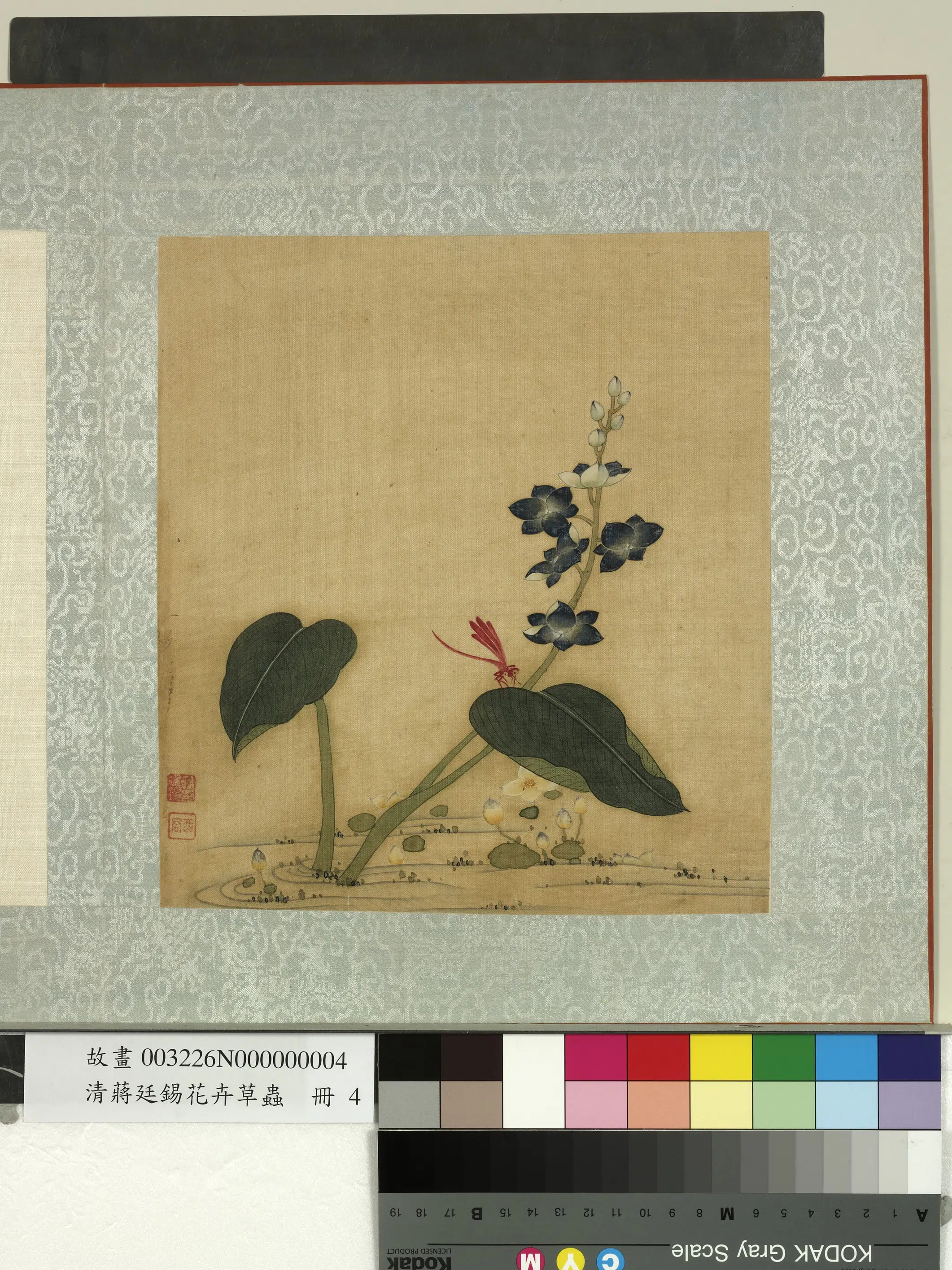清代【蒋廷锡】《花卉草虫册》 第8张 清代【蒋廷锡】《花卉草虫册》 第8张