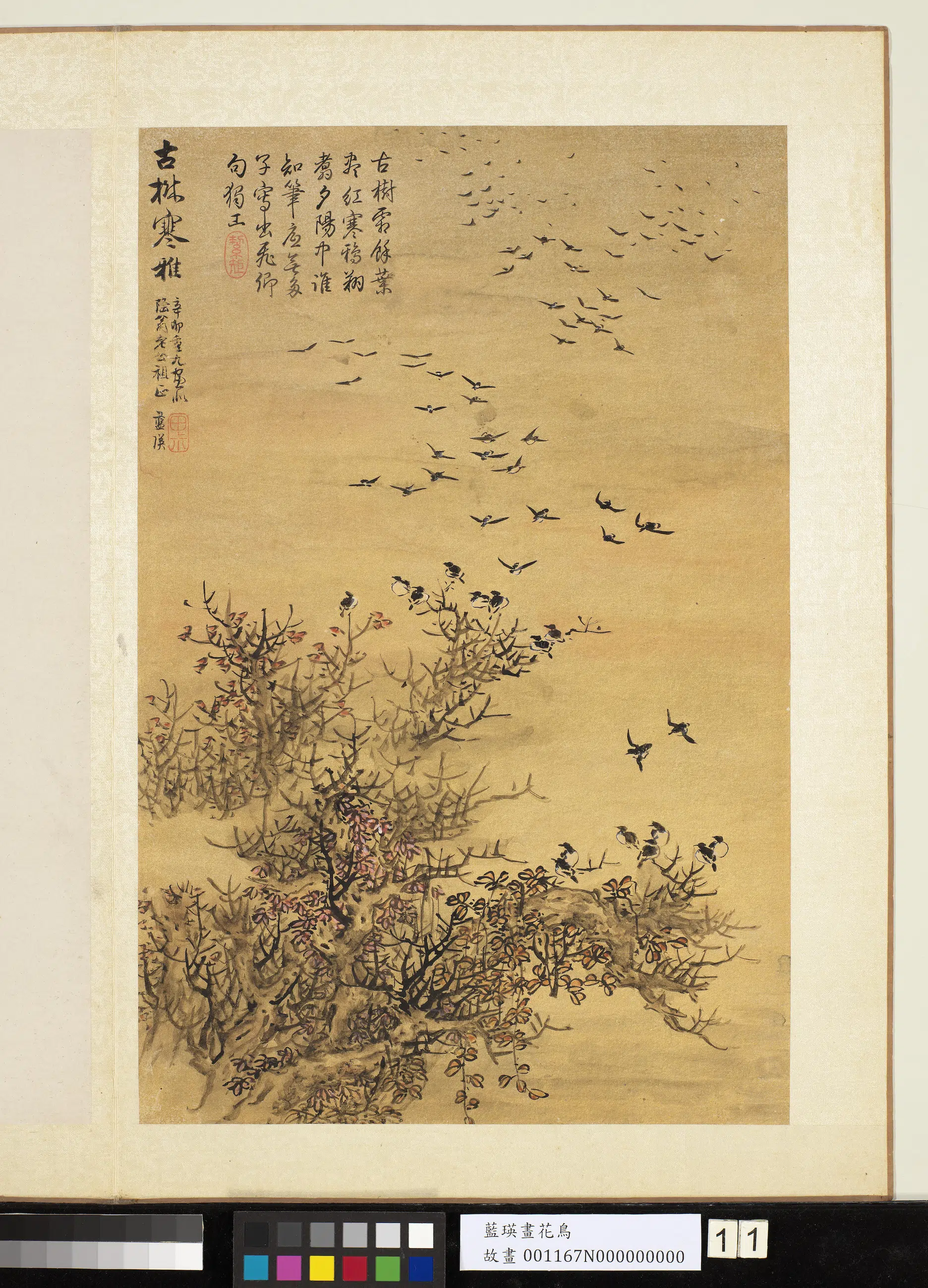 明朝【蓝瑛】《画花鸟册-红叶飞鸦》