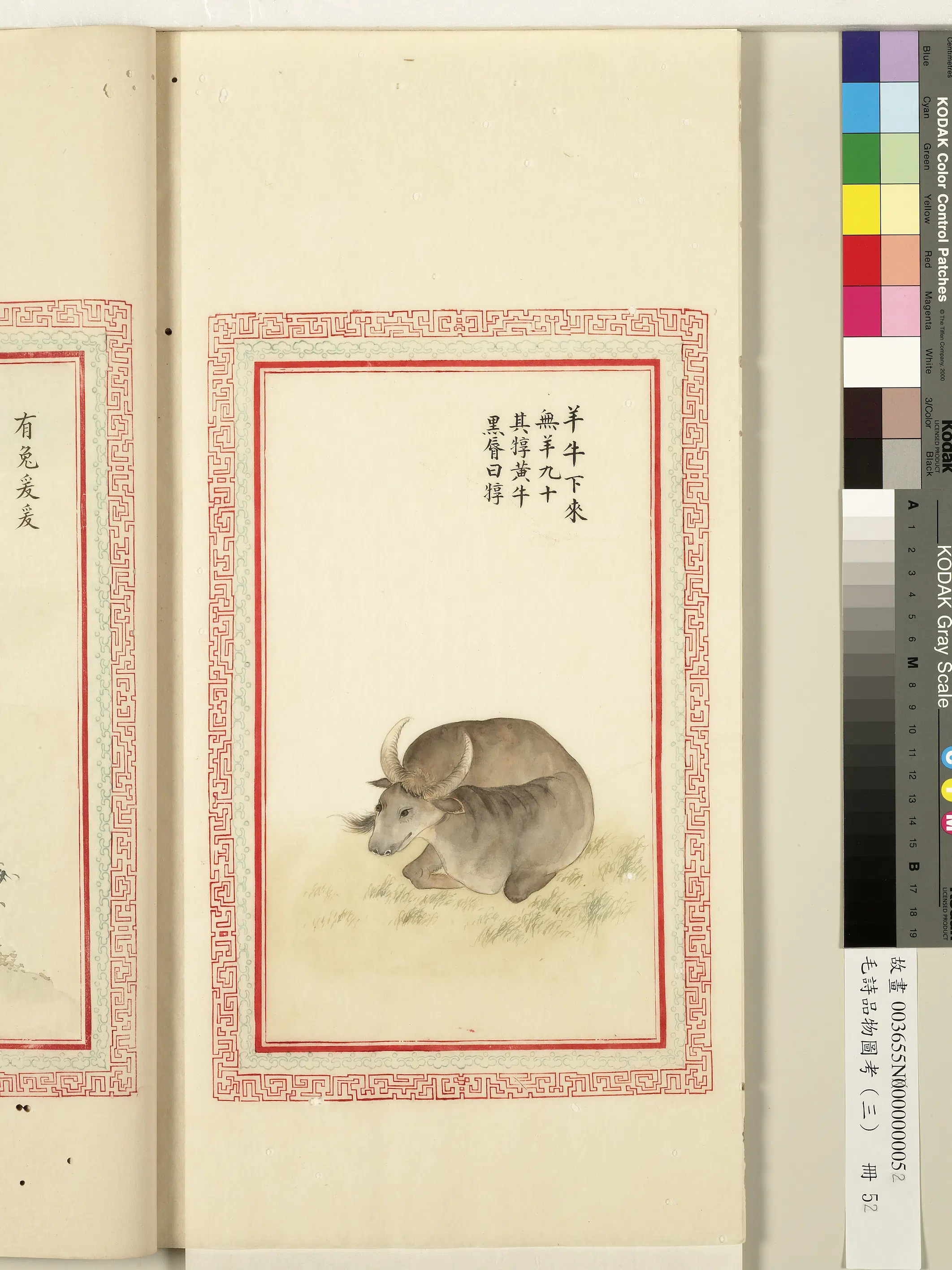 清代《毛诗品物图考(三)册-1》 第36张 清代《毛诗品物图考(三)册-1》 第36张
