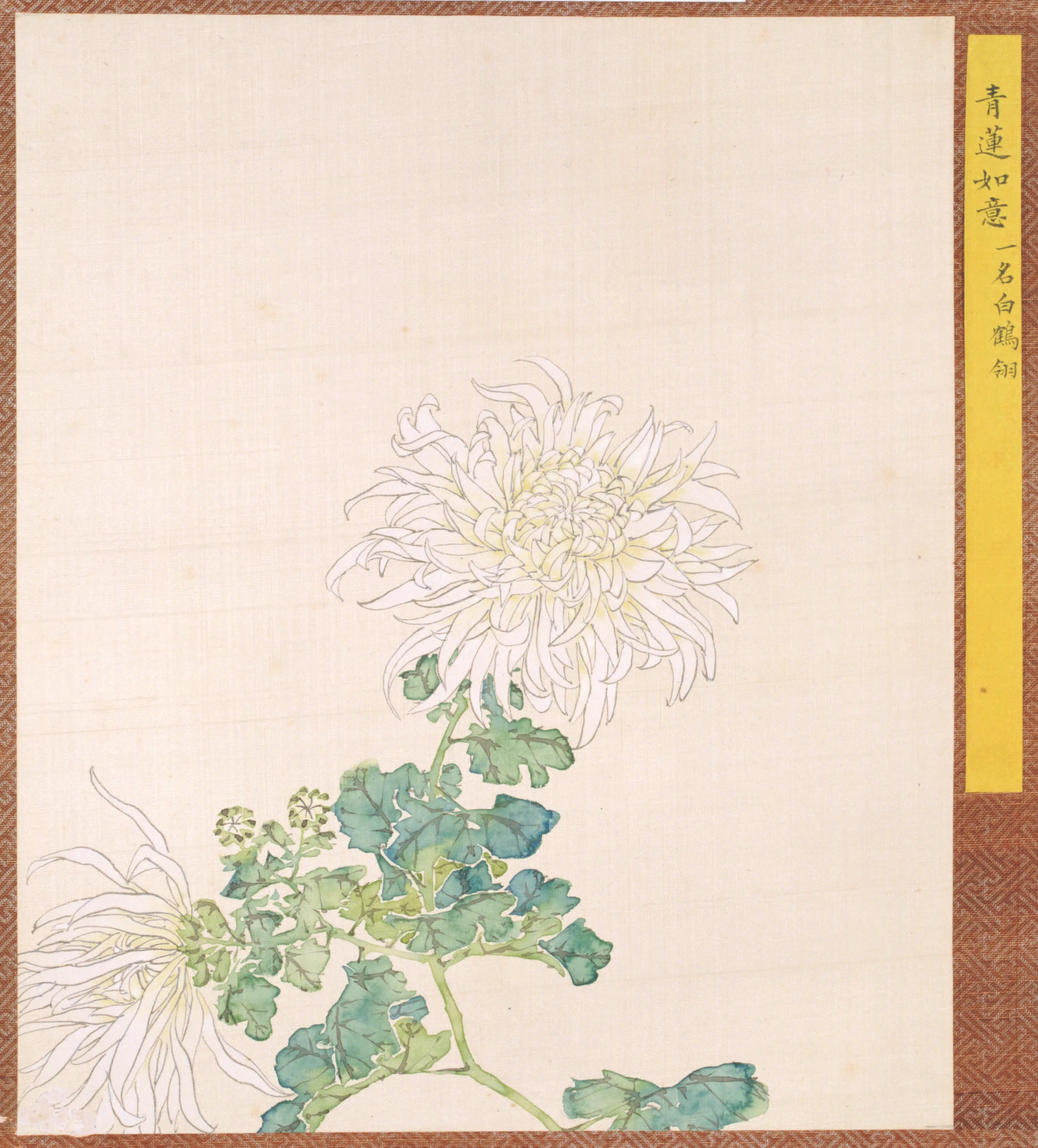 清代【清人】《菊谱册-1》 第1张 清代【清人】《菊谱册-1》 第1张