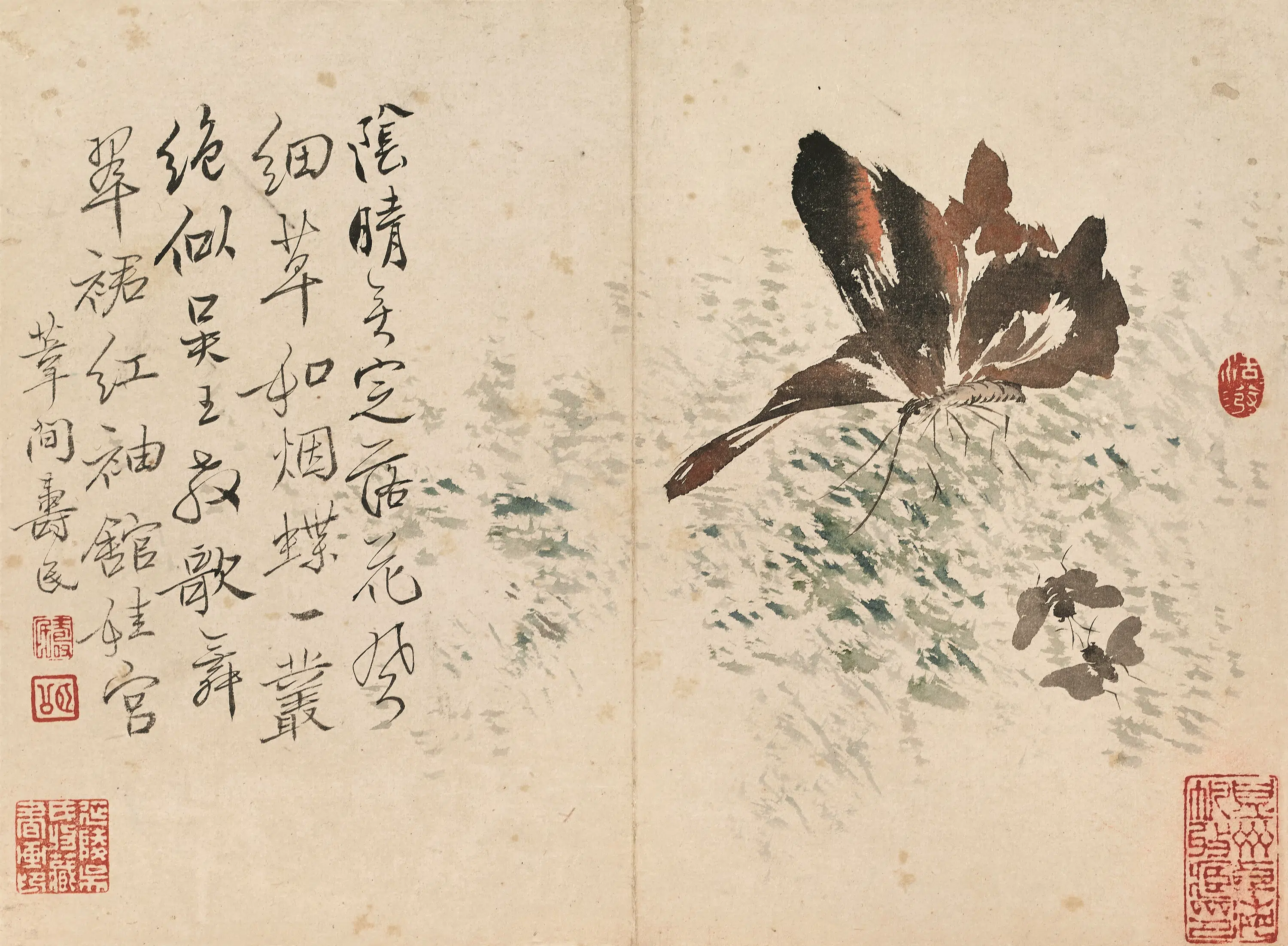清代【边寿民】《杂画图册》 第8张