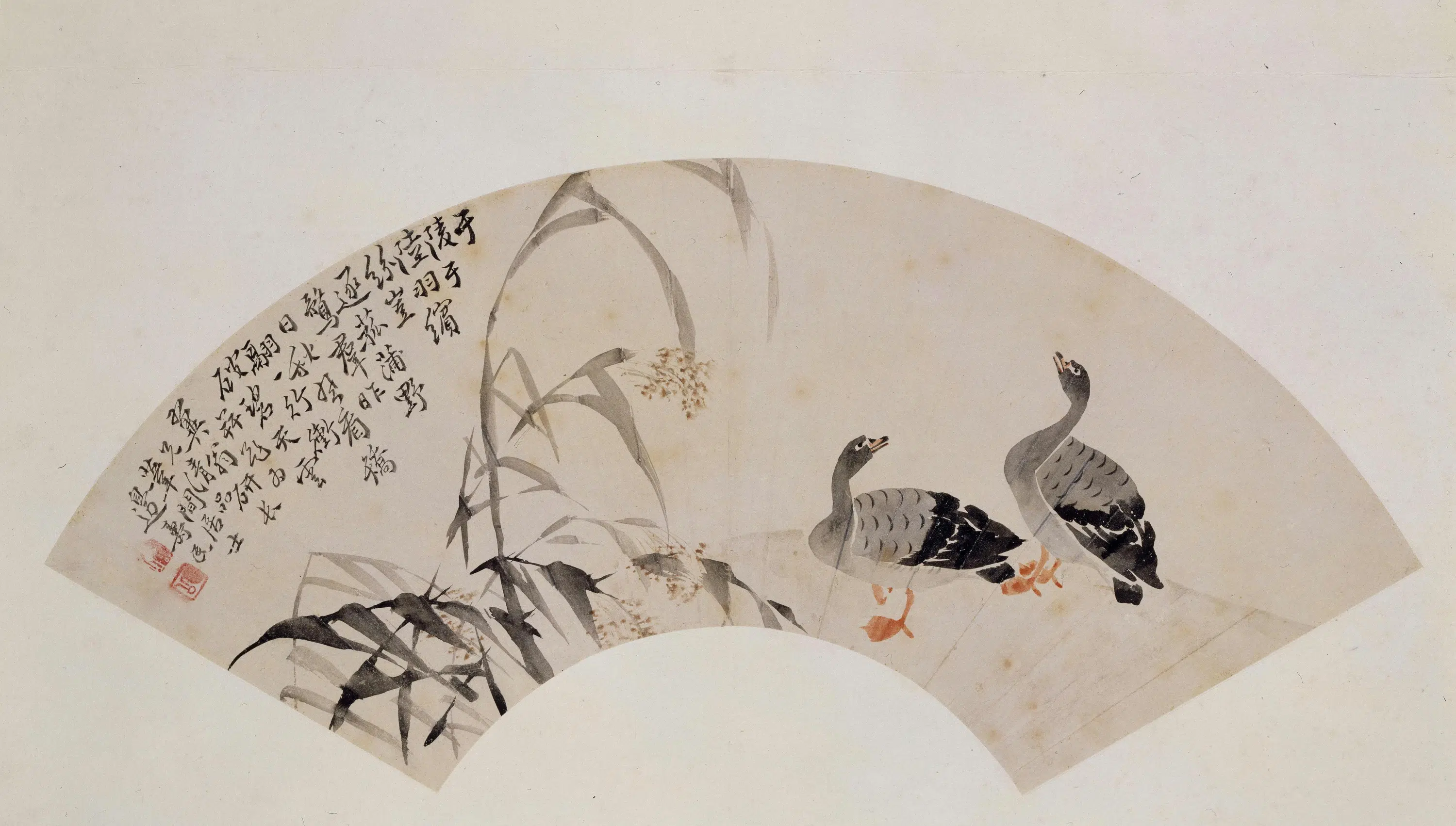 清代【边寿民】《芦雁图扇页》