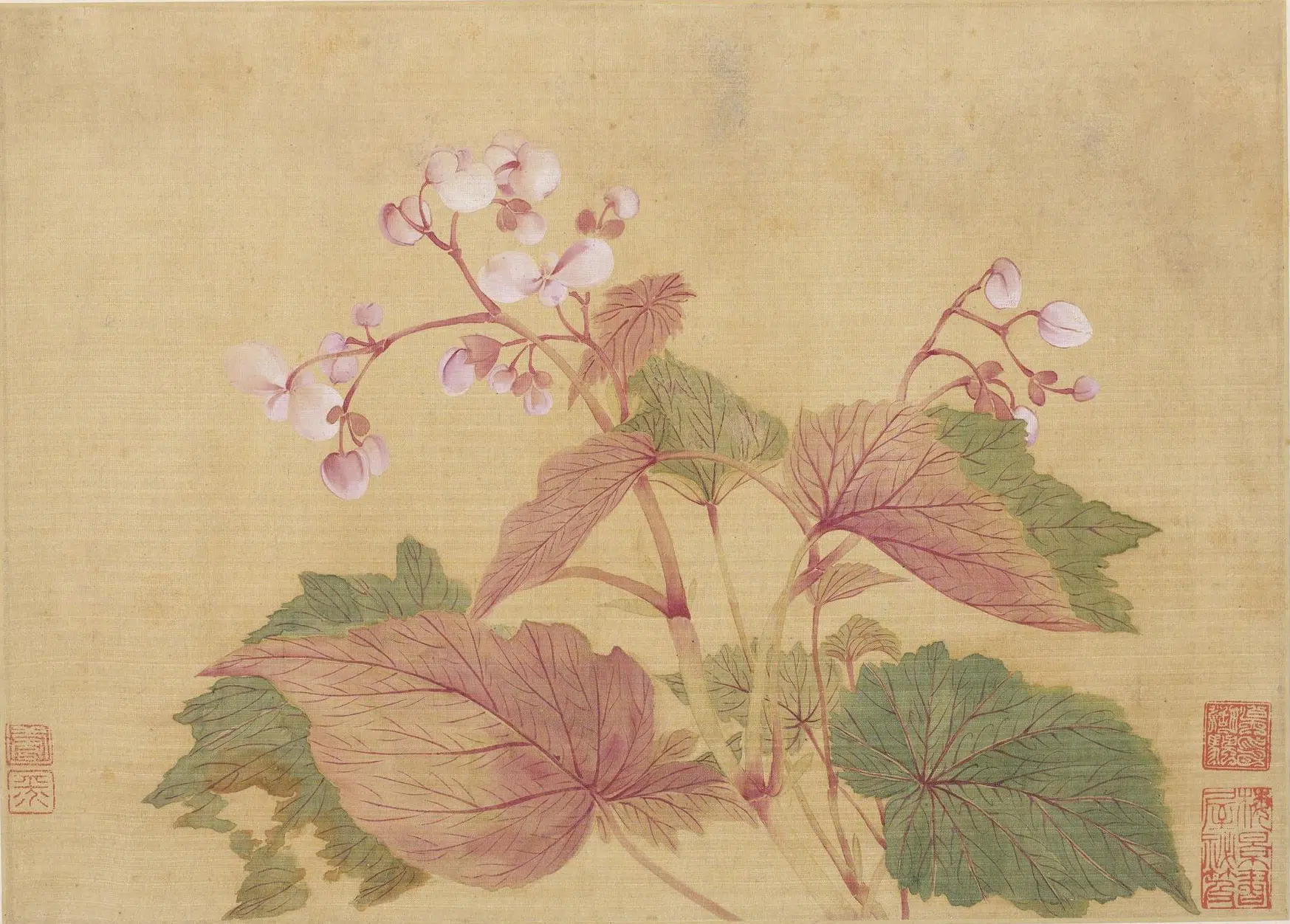 清代【恽寿平】《花卉图册(十开)》 第8张 清代【恽寿平】《花卉图册(十开)》 第8张