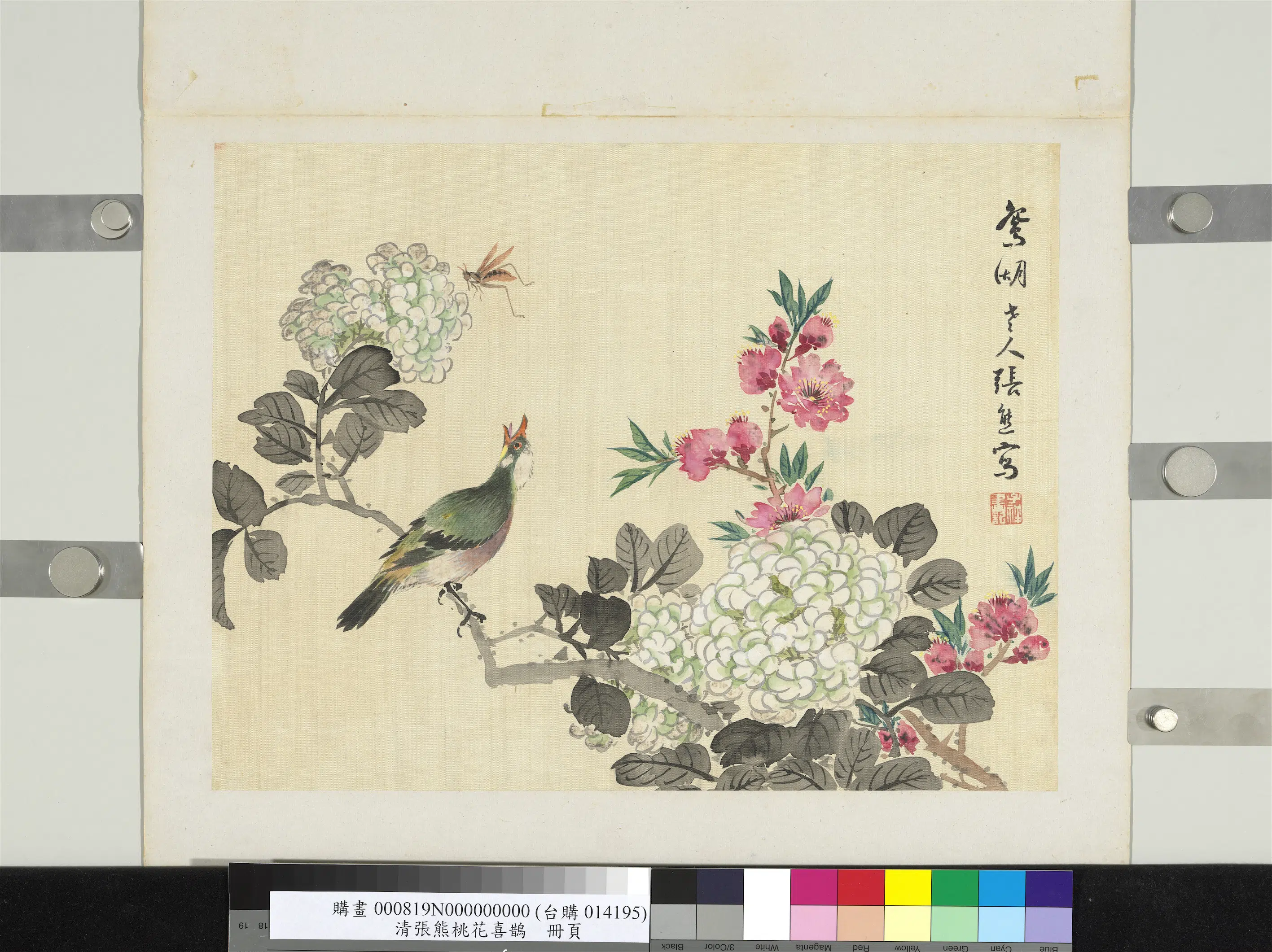 清代【张熊】《桃花喜鹊册页》