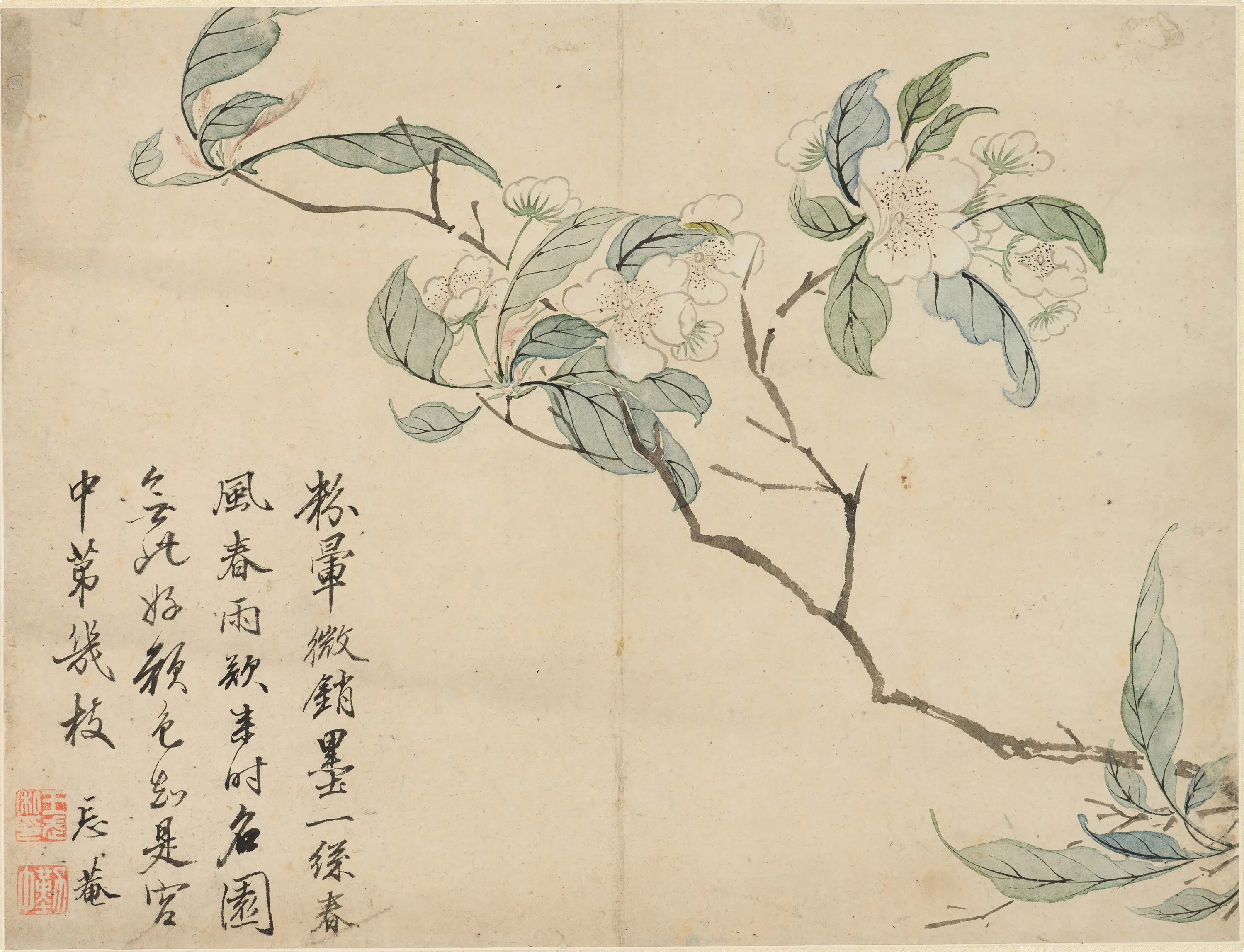 清代【王武】《花卉图轴》
