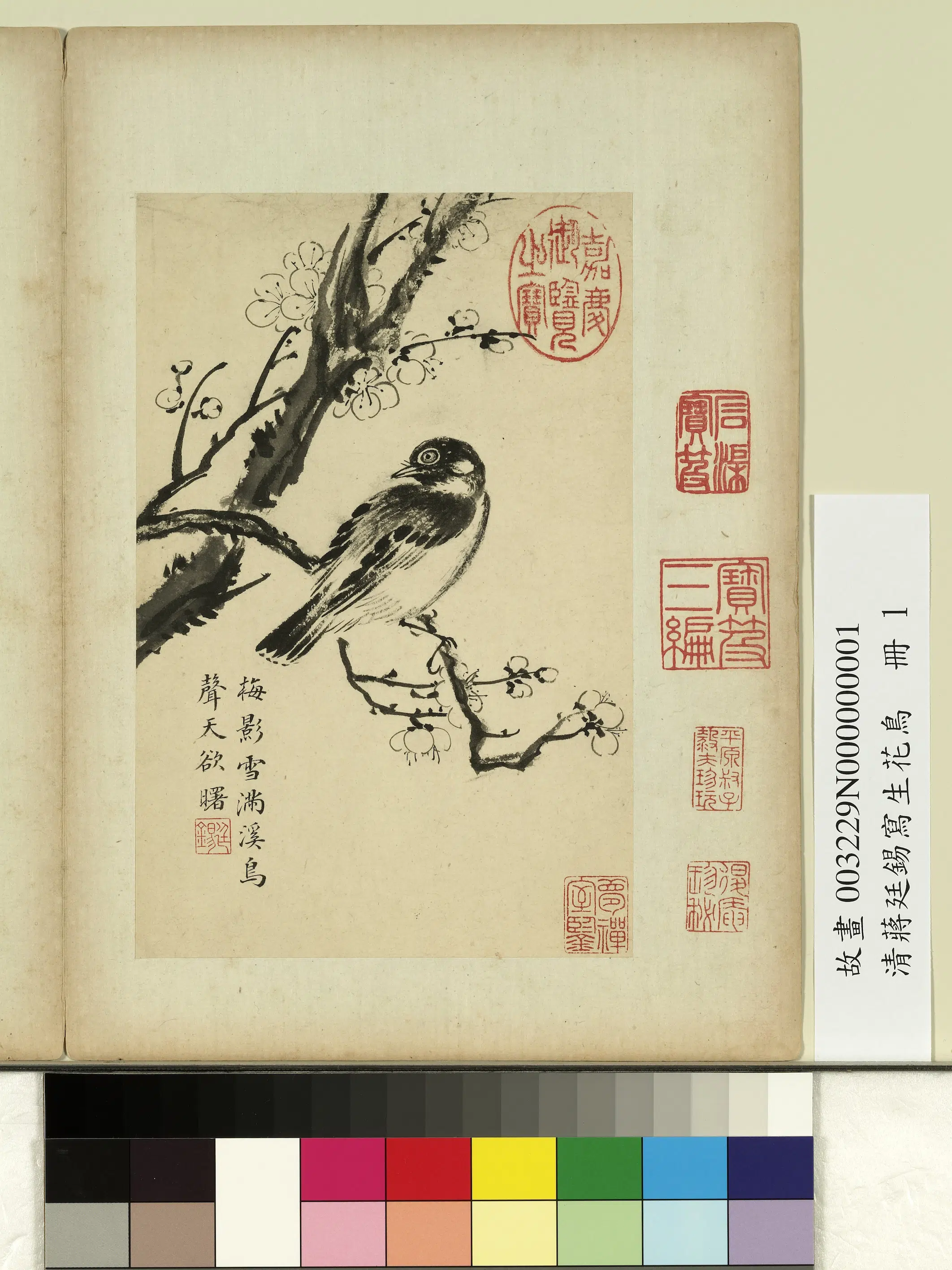 清代【蒋廷锡】《写生花鸟册》