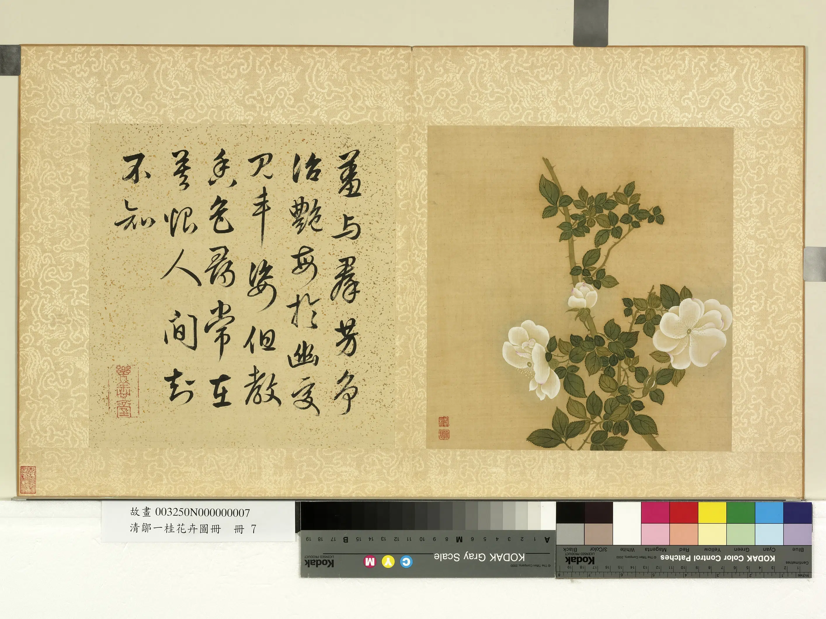 清代【邹一桂】《花卉画册》 第5张 清代【邹一桂】《花卉画册》 第5张