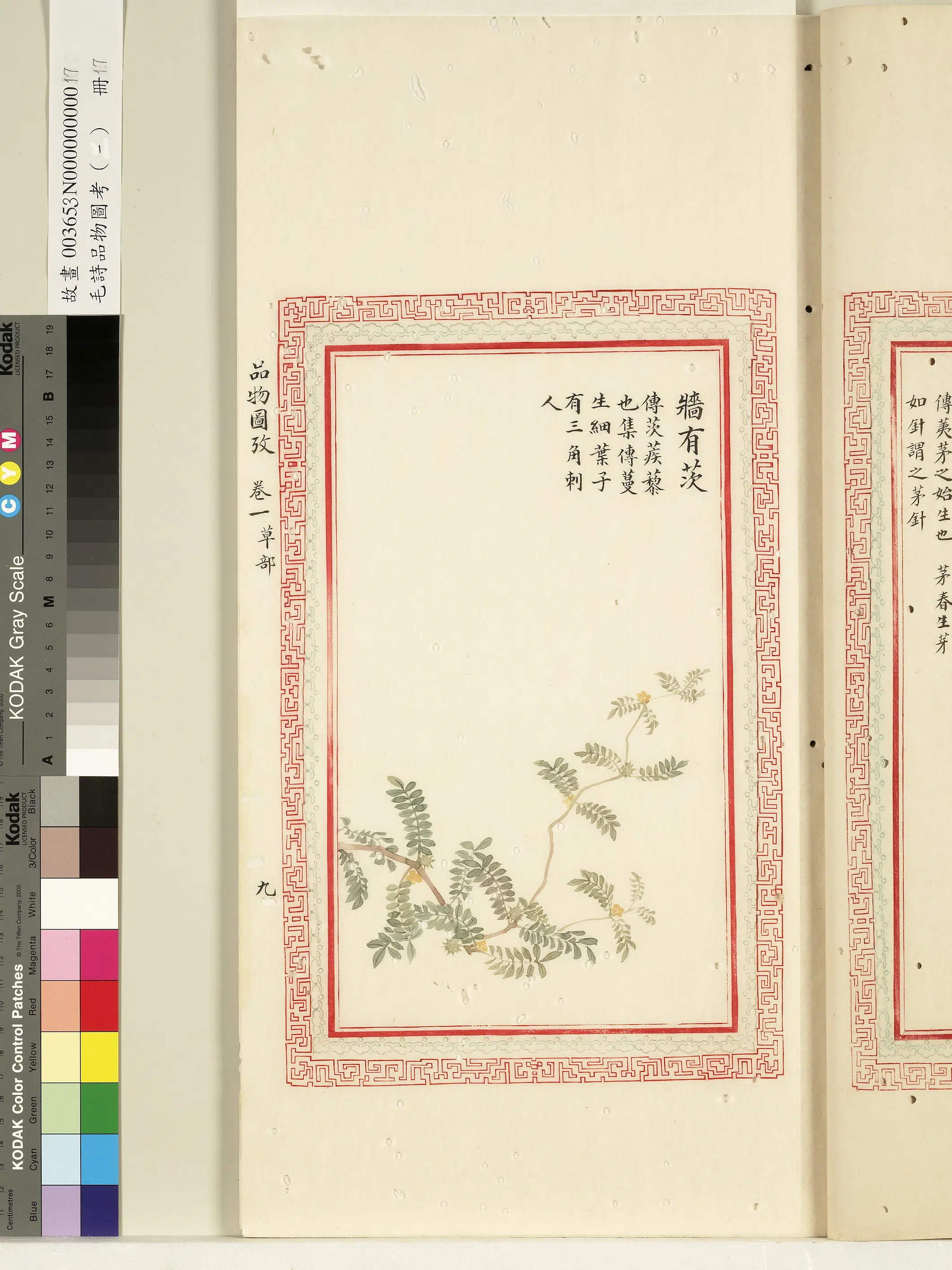 清代《毛诗品物图考(一)册-1》 第18张 清代《毛诗品物图考(一)册-1》 第18张