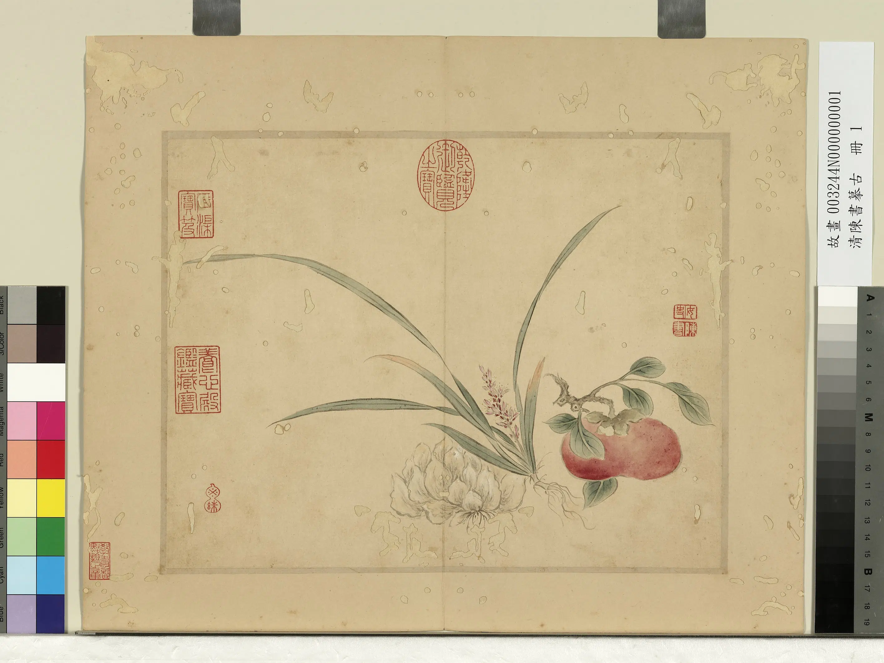 清代【陈书】《摹古册-花果》