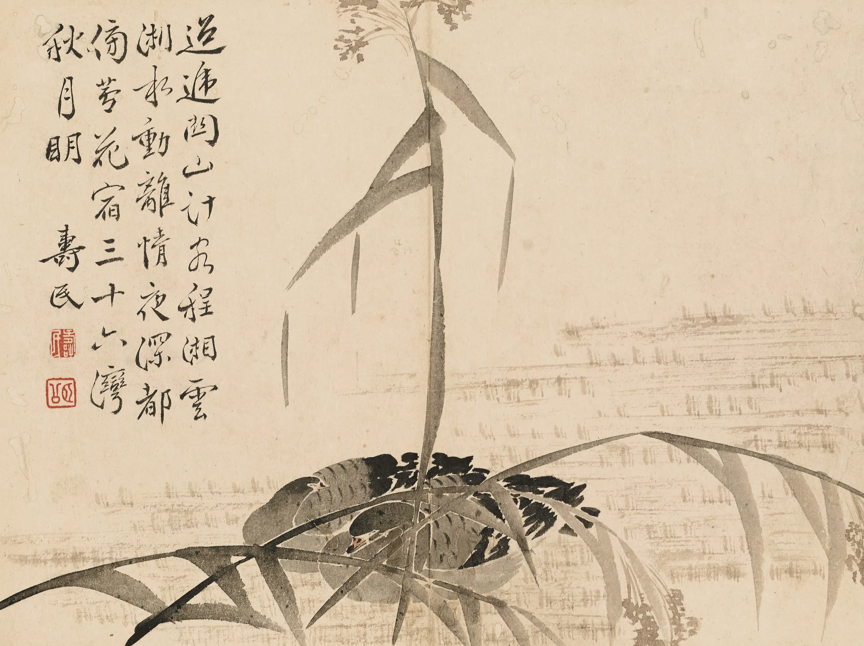 清代【边寿民】《莲州集影图册》 第7张