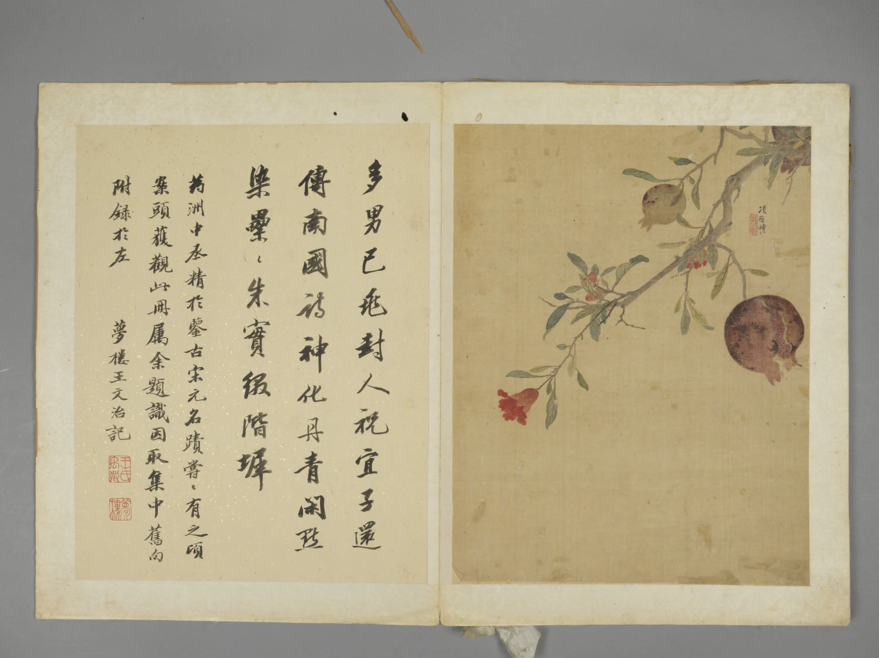 明朝【项圣谟】《花卉册（7开）》 第7张