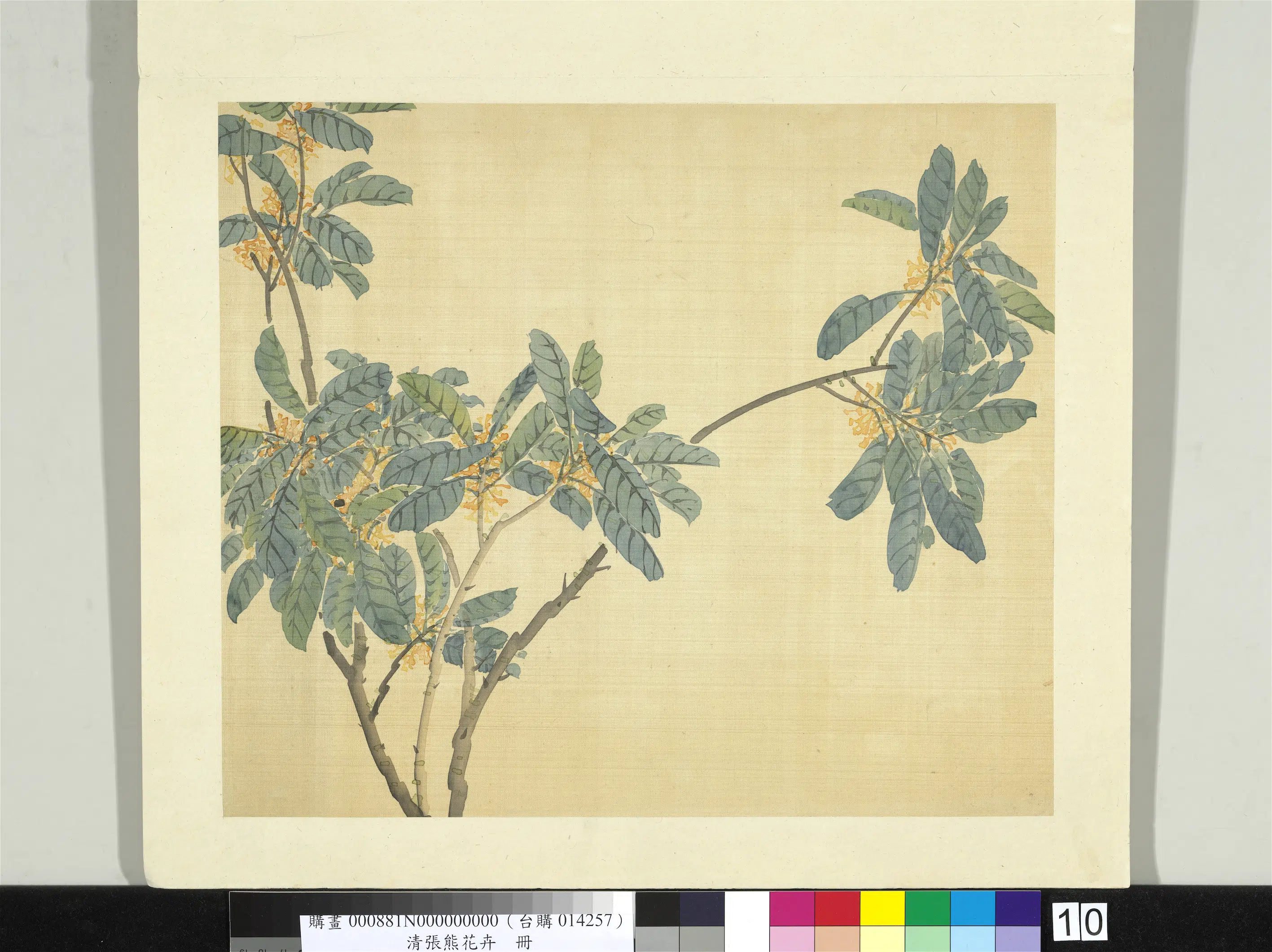 清代【张熊】《花卉册》 第4张 清代【张熊】《花卉册》 第4张