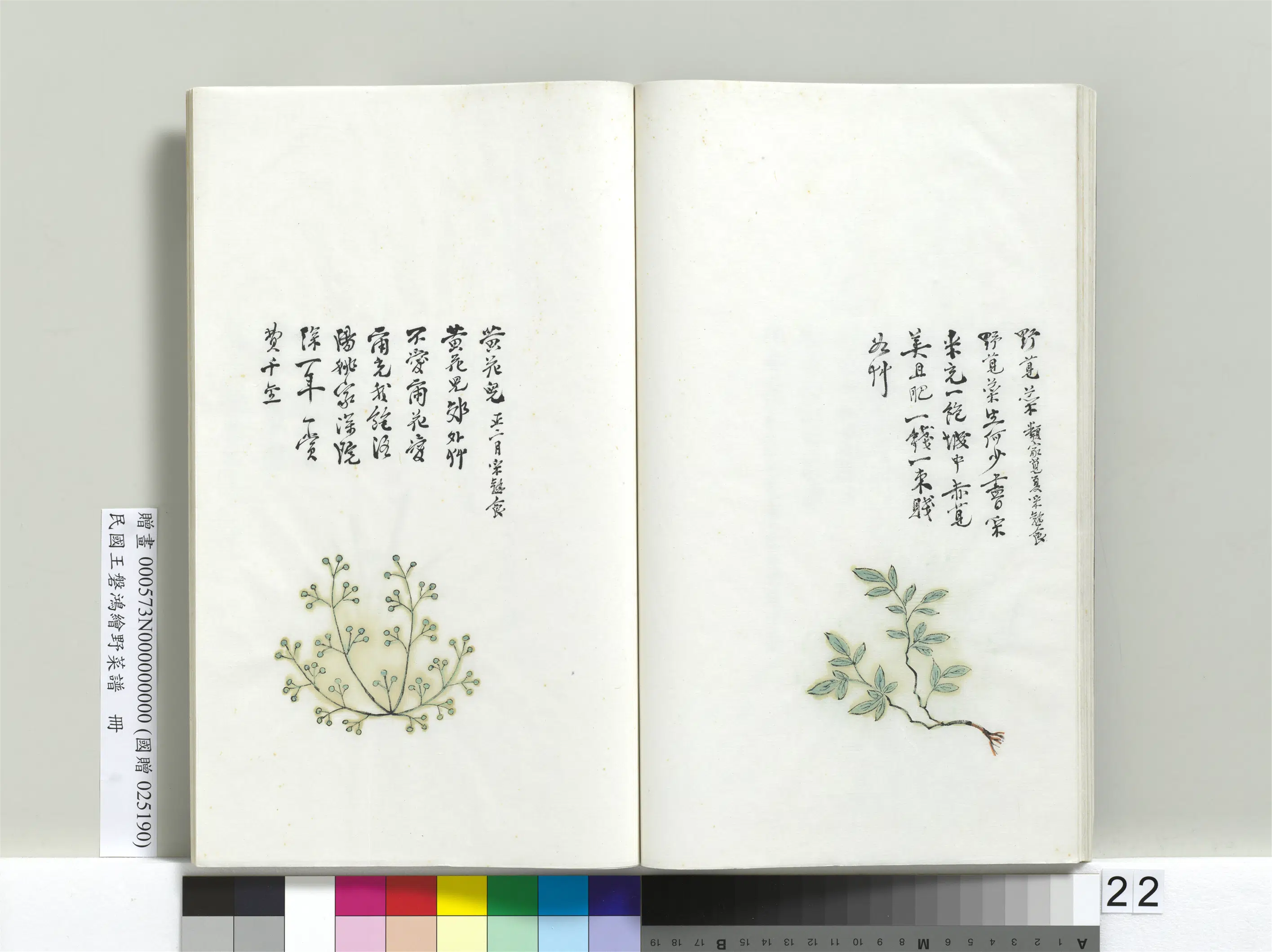 《绘王盘野菜谱册》 第15张 《绘王盘野菜谱册》 第15张