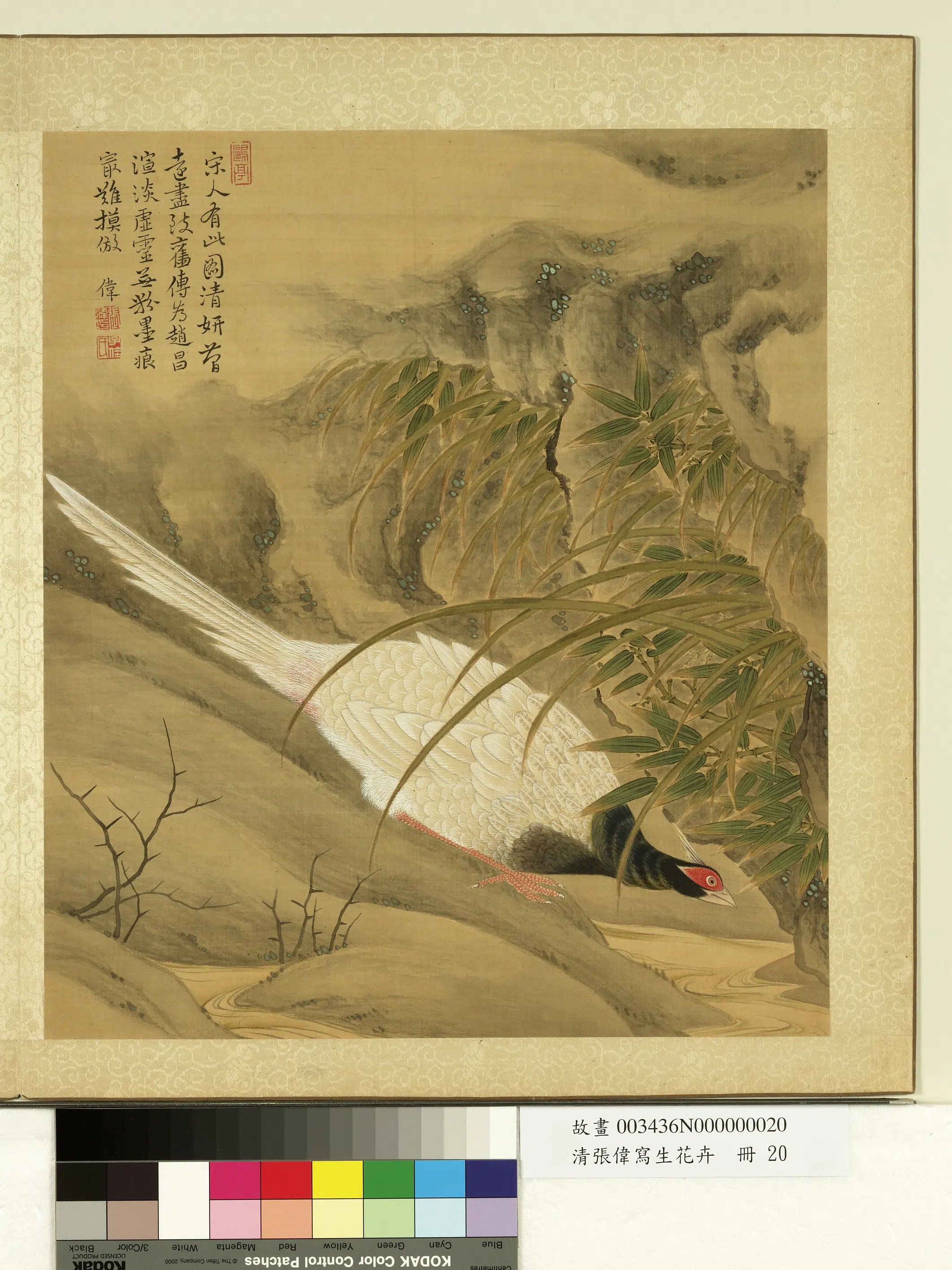 清代【张伟】《写生花卉册-竹石山鸡》