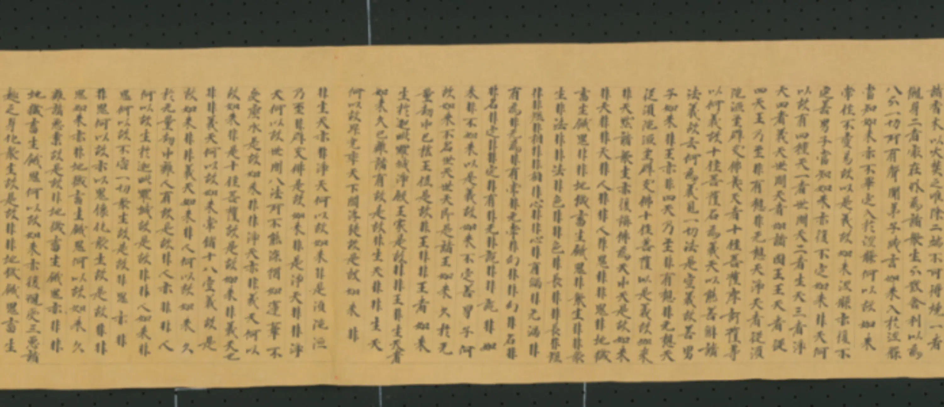 唐朝《无款行书写大湼槃经德王菩萨品二十二卷》 第11张