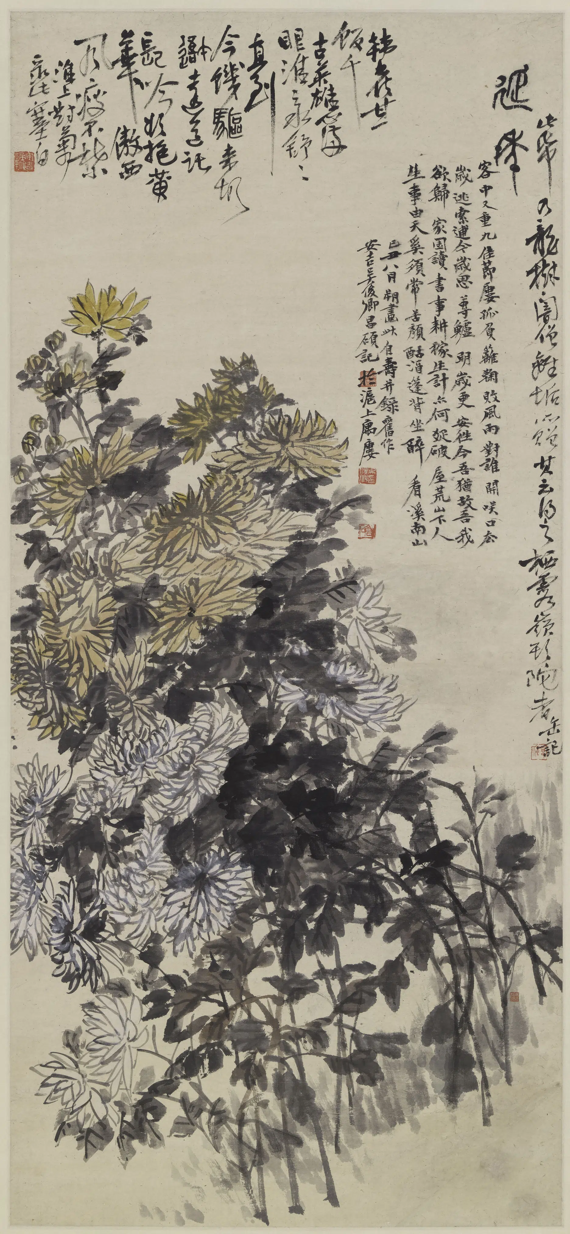 清代【吴昌硕】《菊花图轴-1》