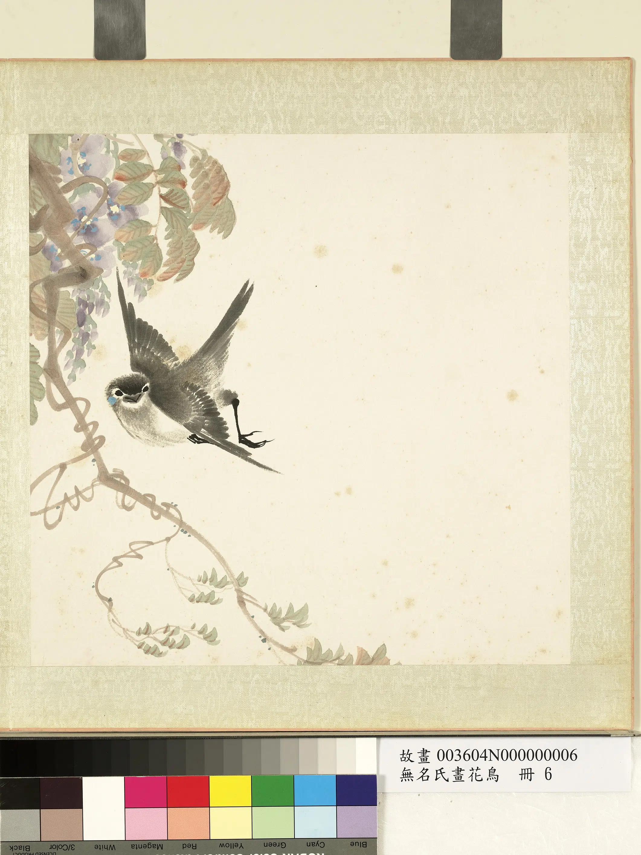 《无名氏画花鸟册》 第11张 《无名氏画花鸟册》 第11张