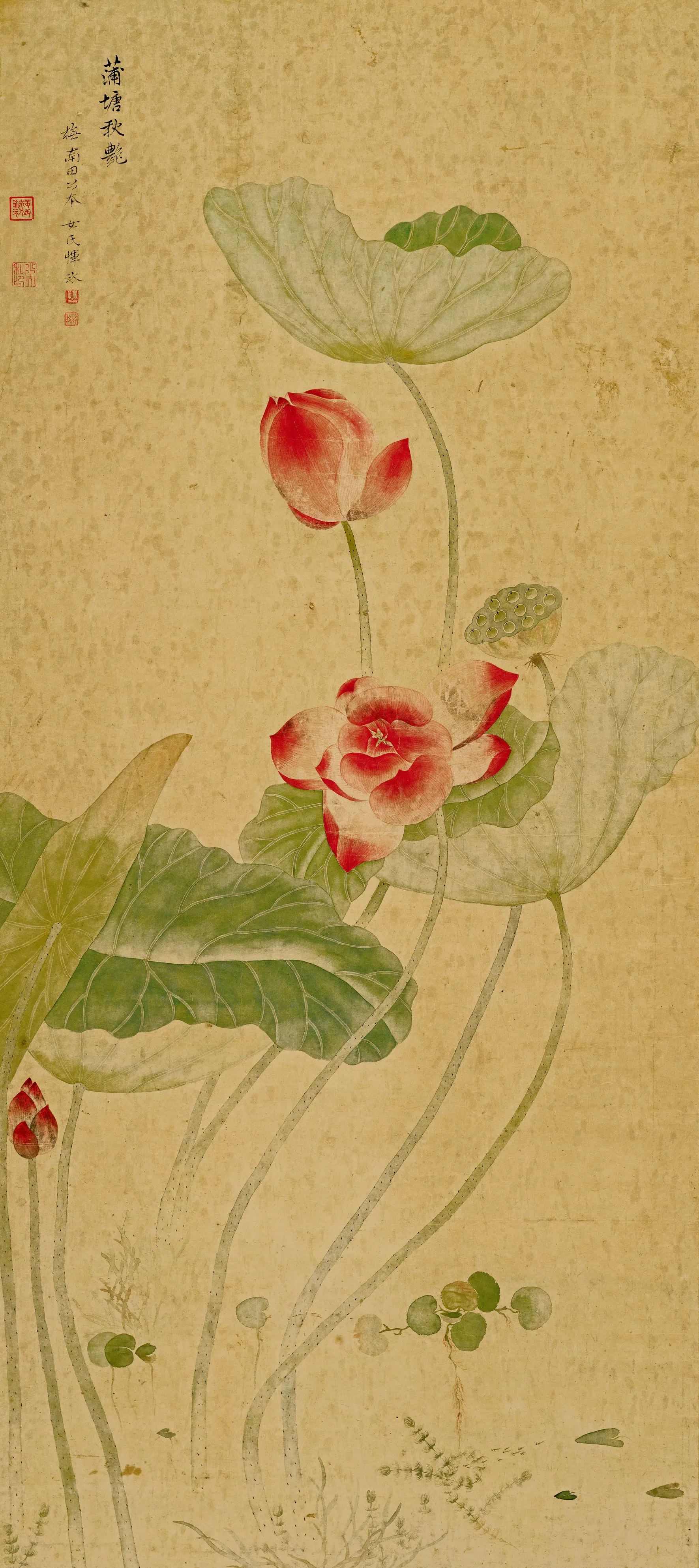 清代【恽冰】《蒲塘秋艳图轴》