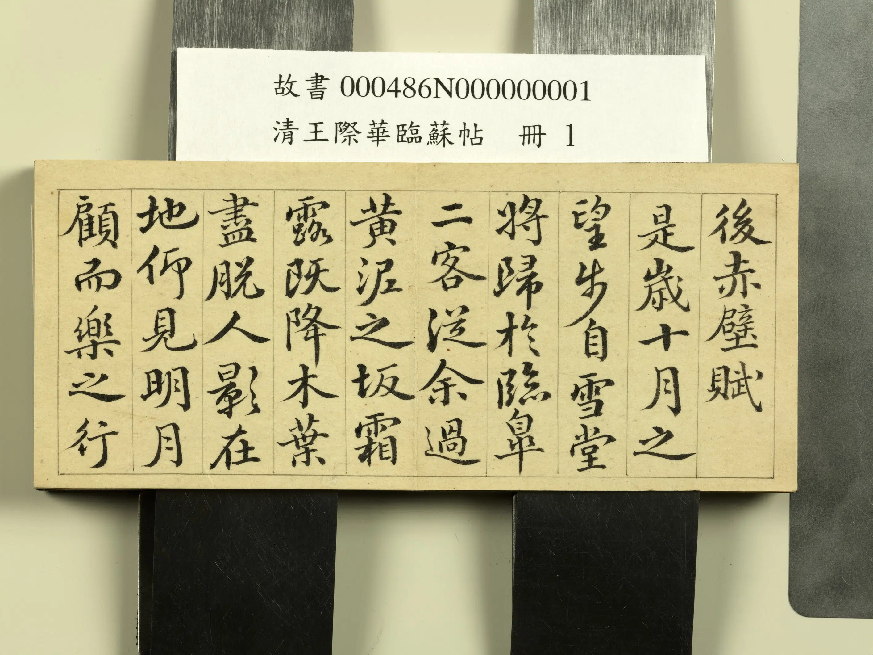 清代【王际华】《临苏帖册》