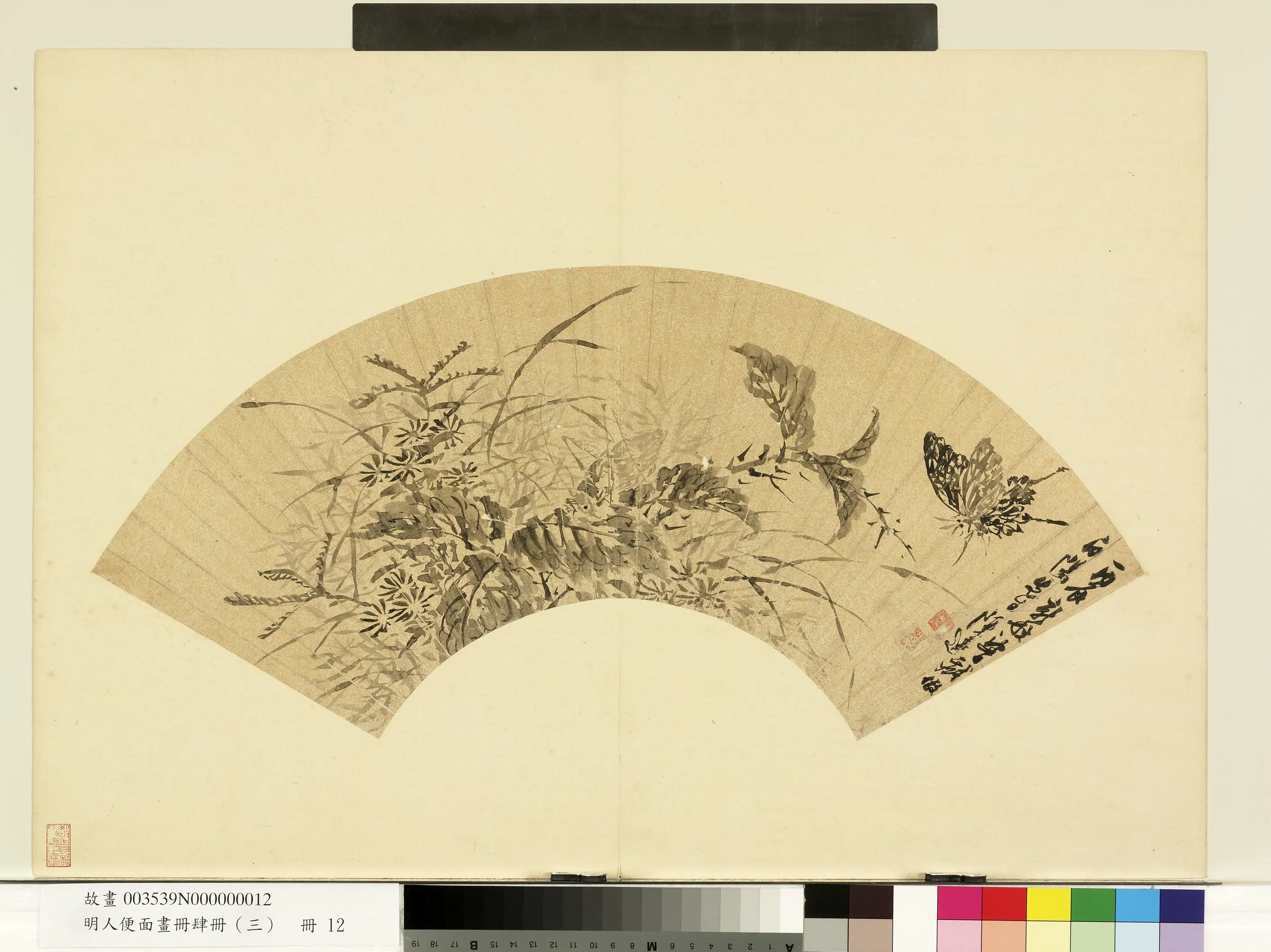 明朝【陈遵】《明人便面画册（三）册-秋英寒蝶》