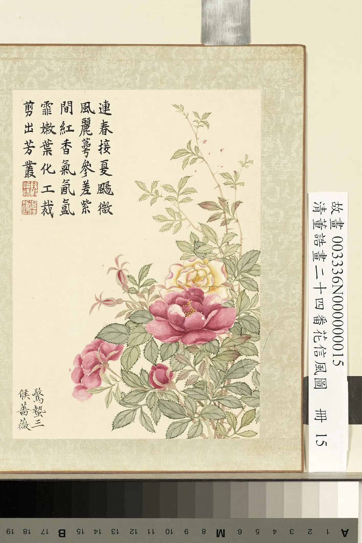 清代【董诰】《画二十四番花信风图册-惊蛰三候蔷薇》 第1张