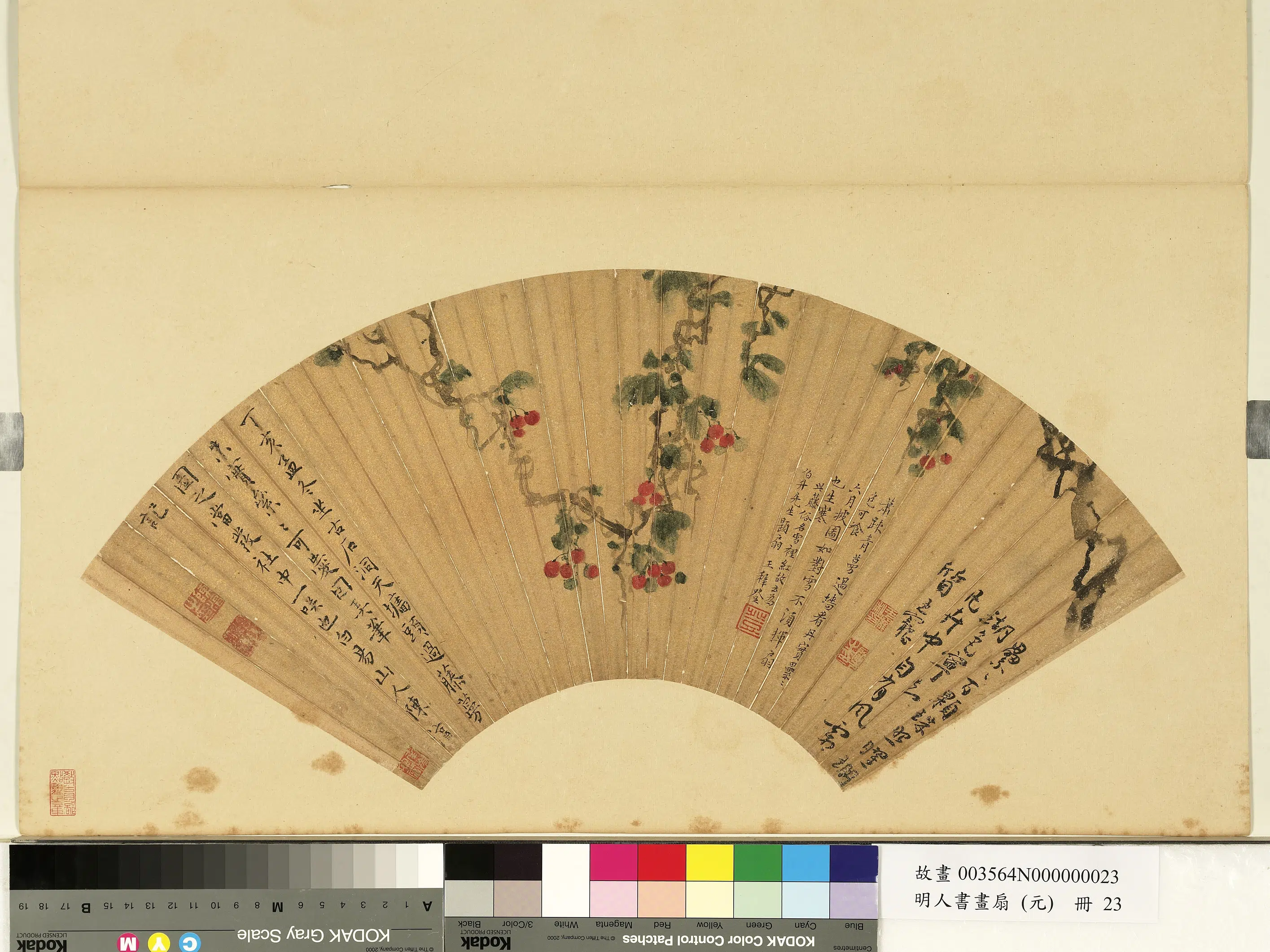 明朝【陈淳（道复）】《明人画扇（元）册-雪里红》