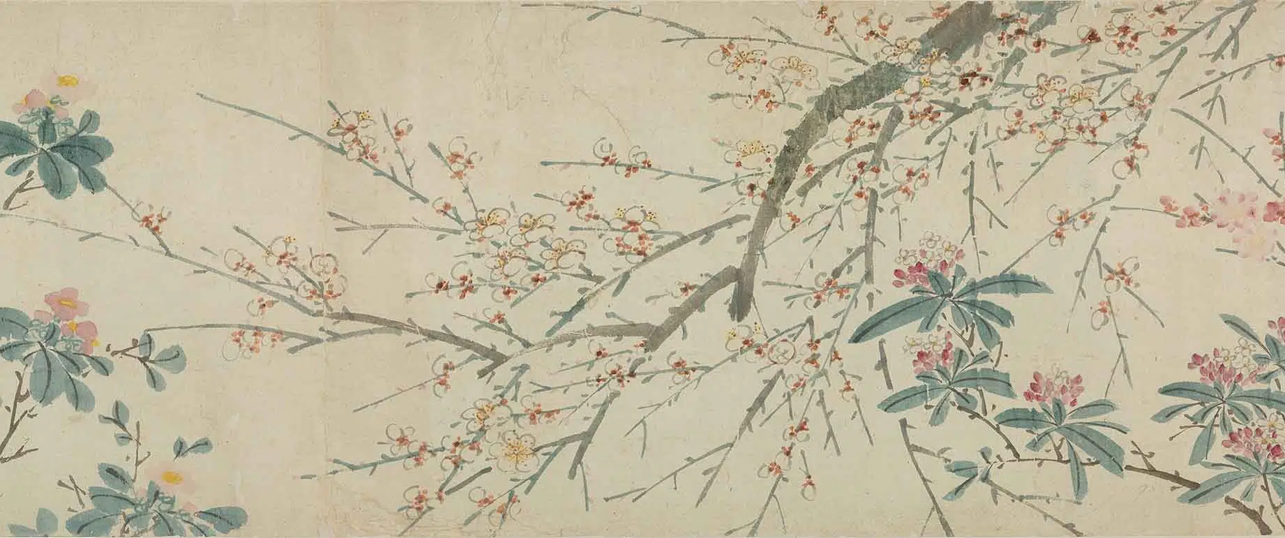 明朝【陈淳（道复）】《四季花卉卷》 第15张