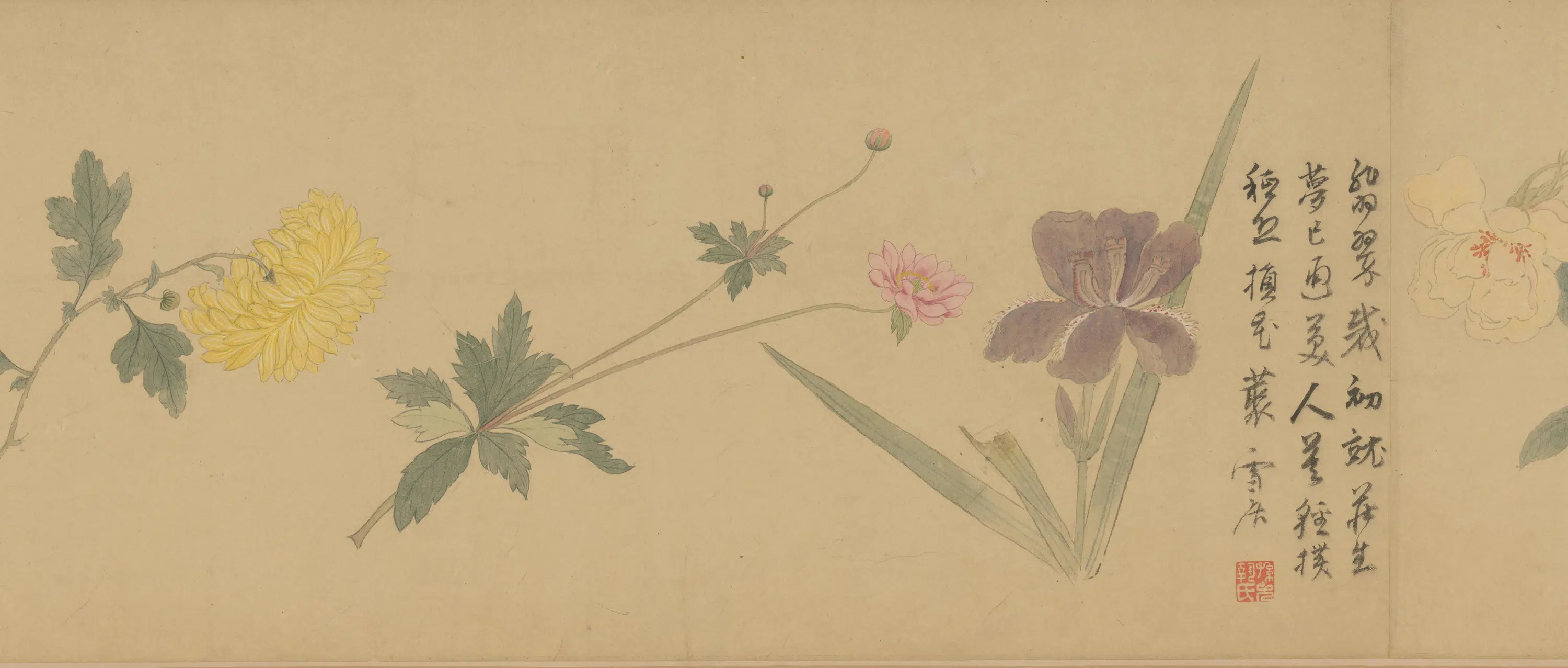 明朝【孙克弘】《百花图卷》 第7张