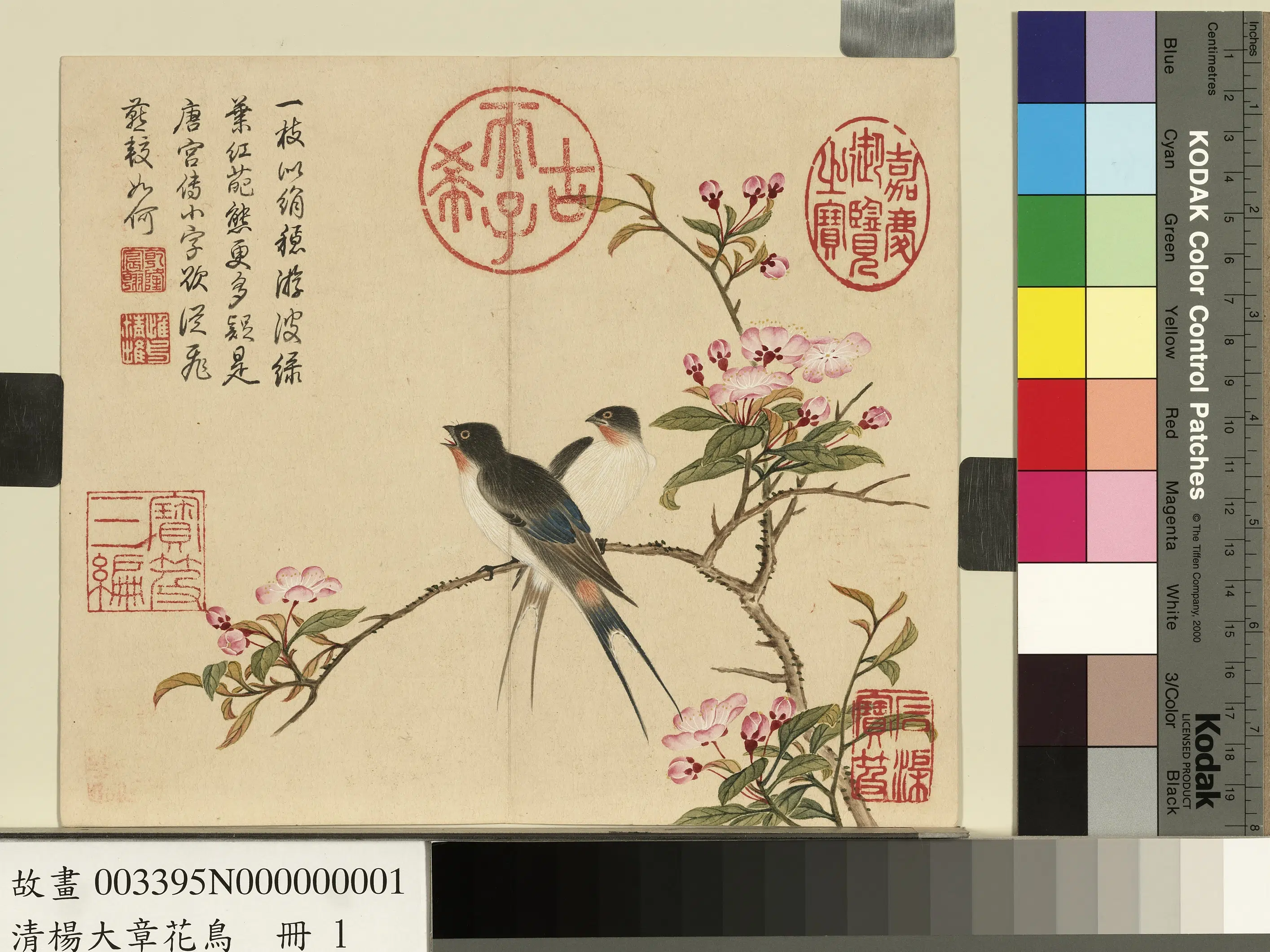 清代【杨大章】《花鸟册》 第3张 清代【杨大章】《花鸟册》 第3张