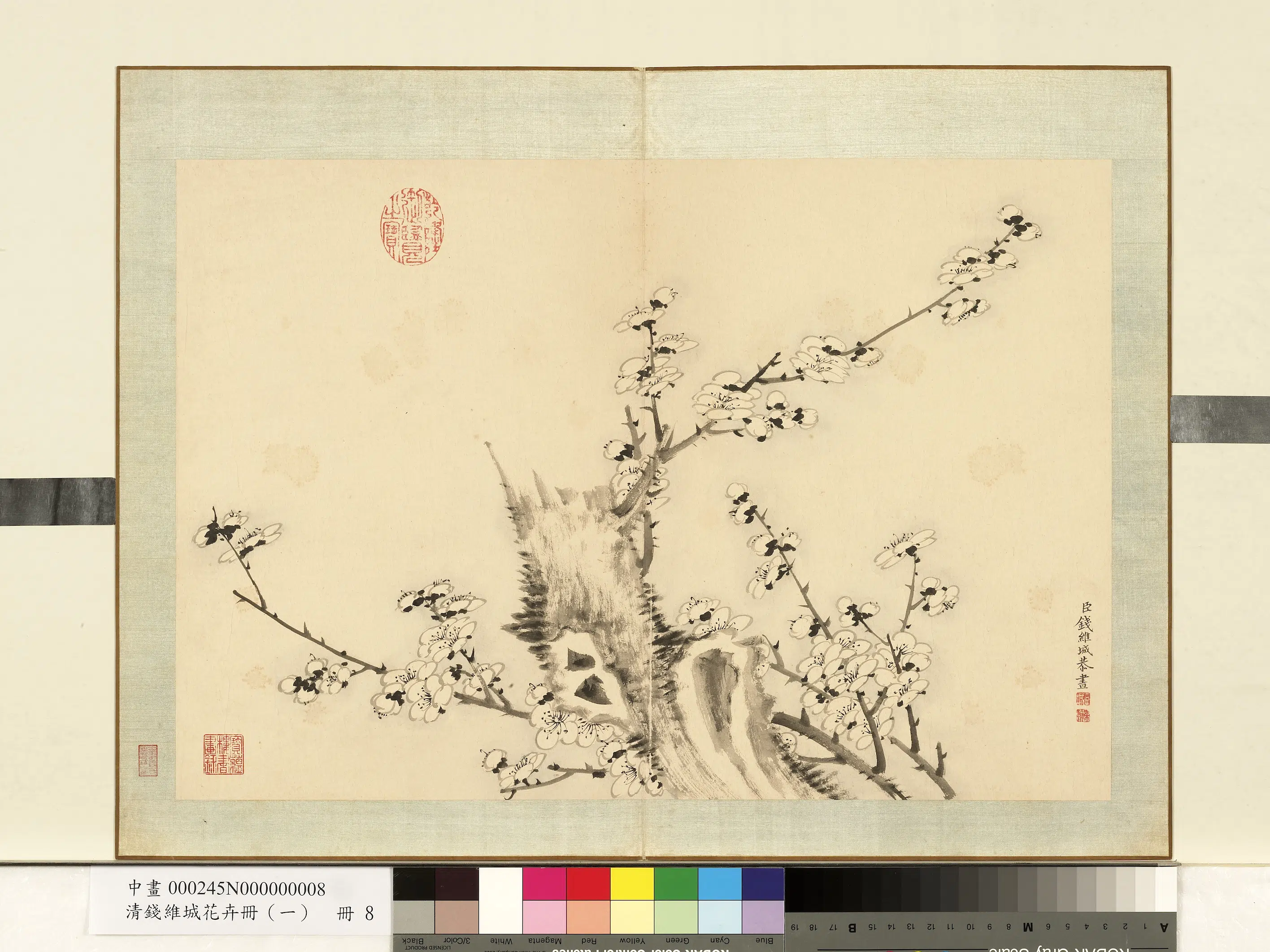 清代【钱维城】《花卉册(一)册》 第7张 清代【钱维城】《花卉册(一)册》 第7张