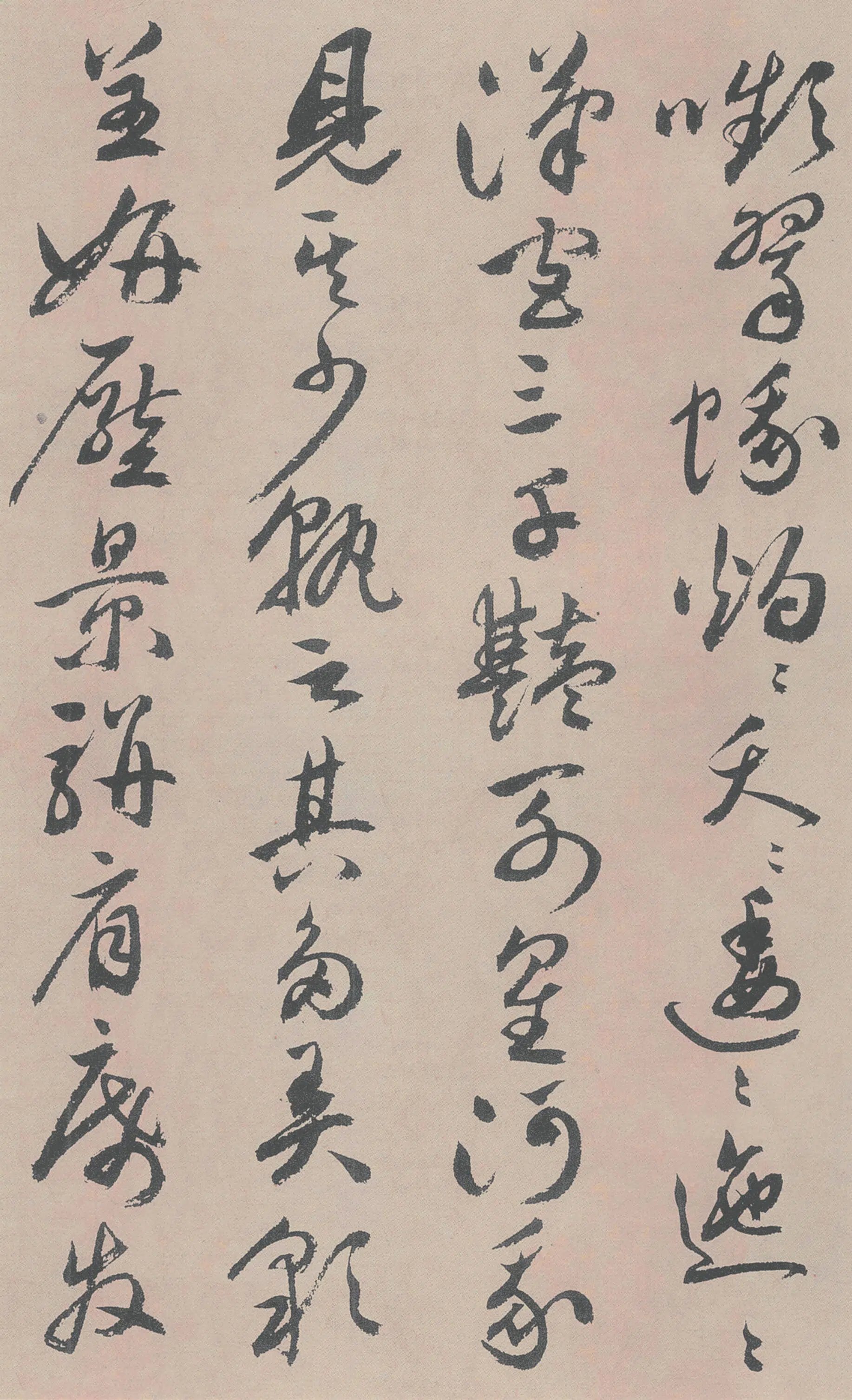 明朝【祝允明】《牡丹赋》 第11张