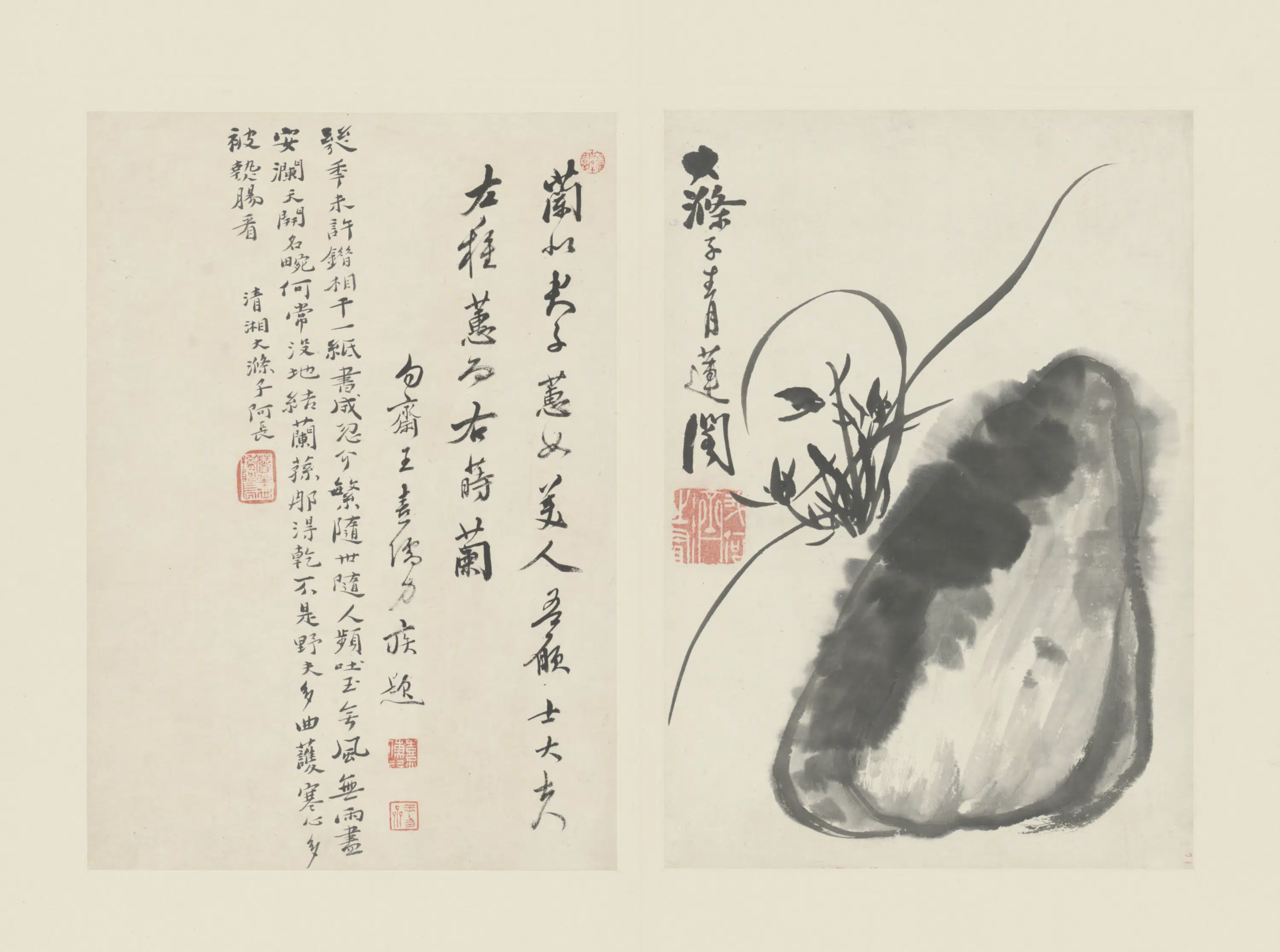 清代【原济】《兰竹册－兰石-4》