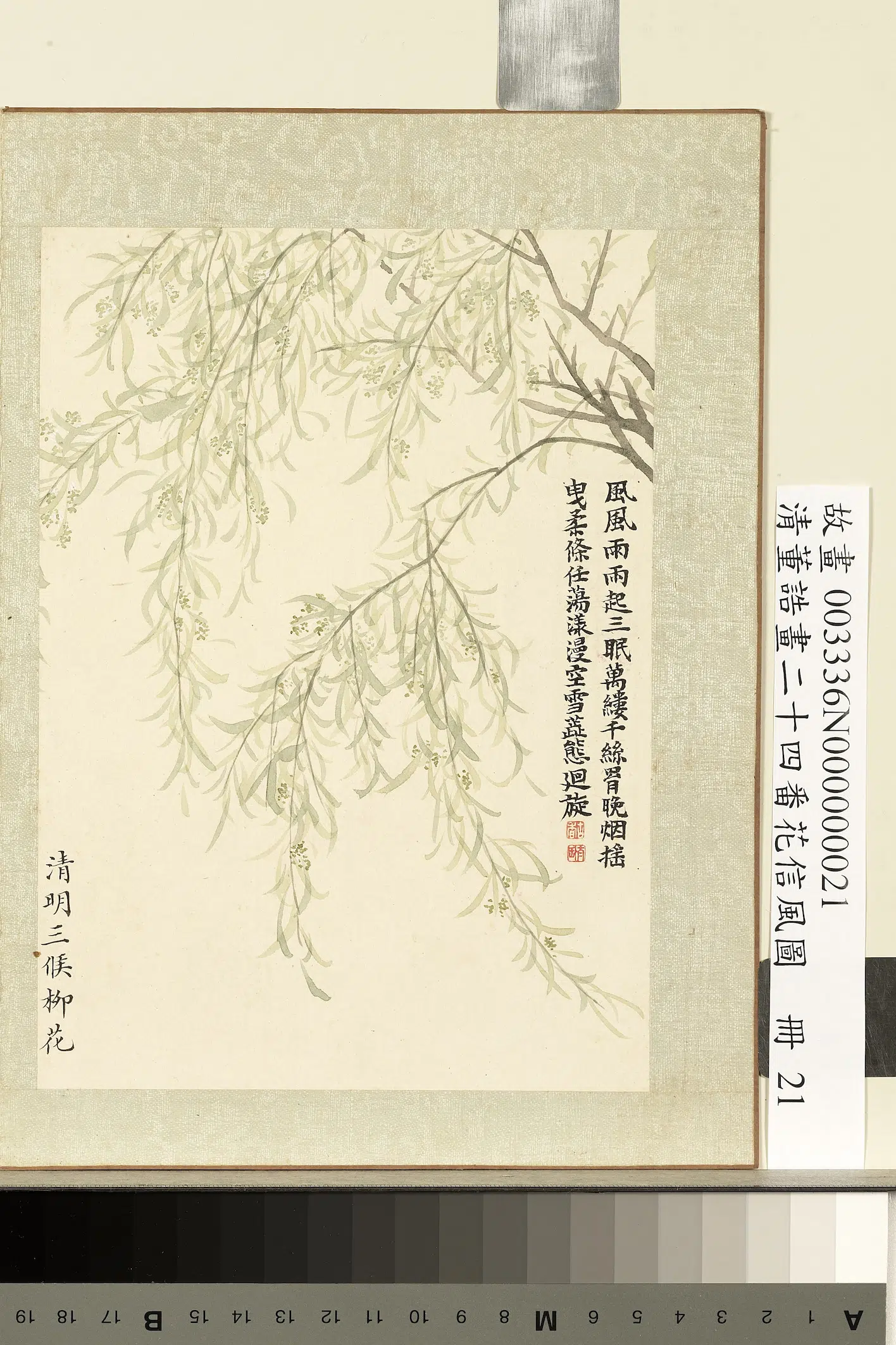 清代【董诰】《画二十四番花信风图册-清明三候柳花》 第1张