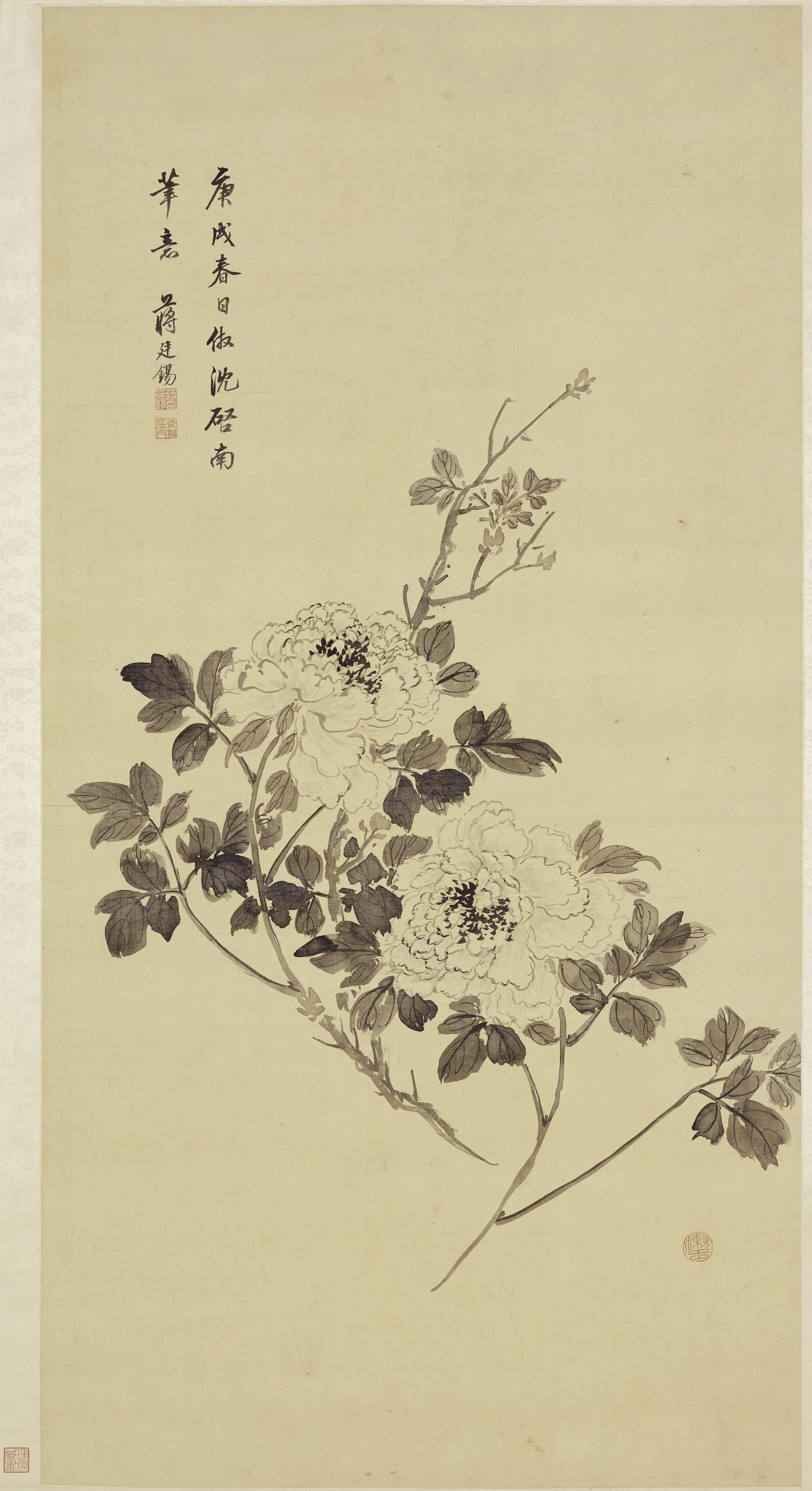清代【蒋廷锡】《牡丹图轴》