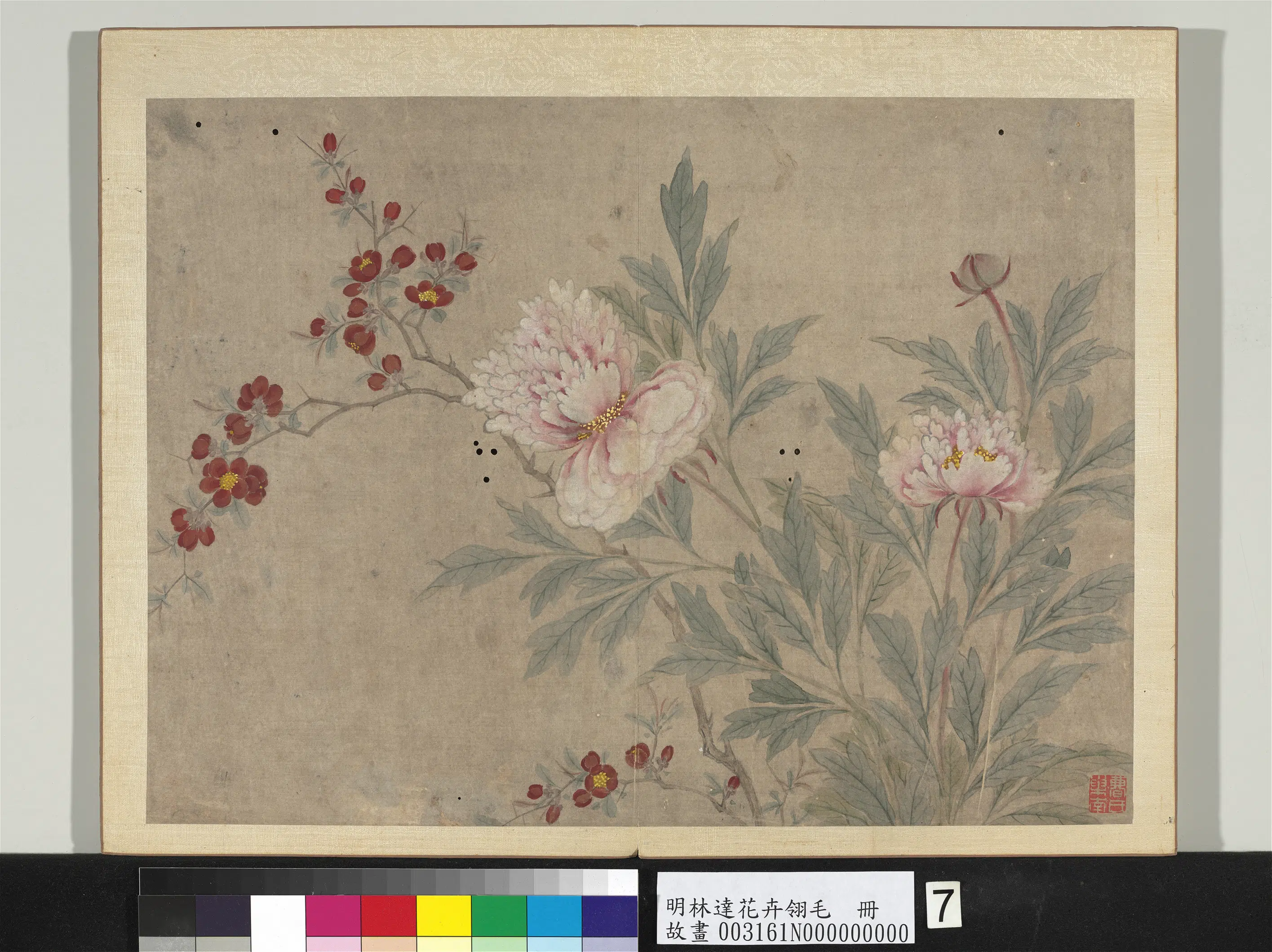明朝【林达】《花卉翎毛册》 第7张