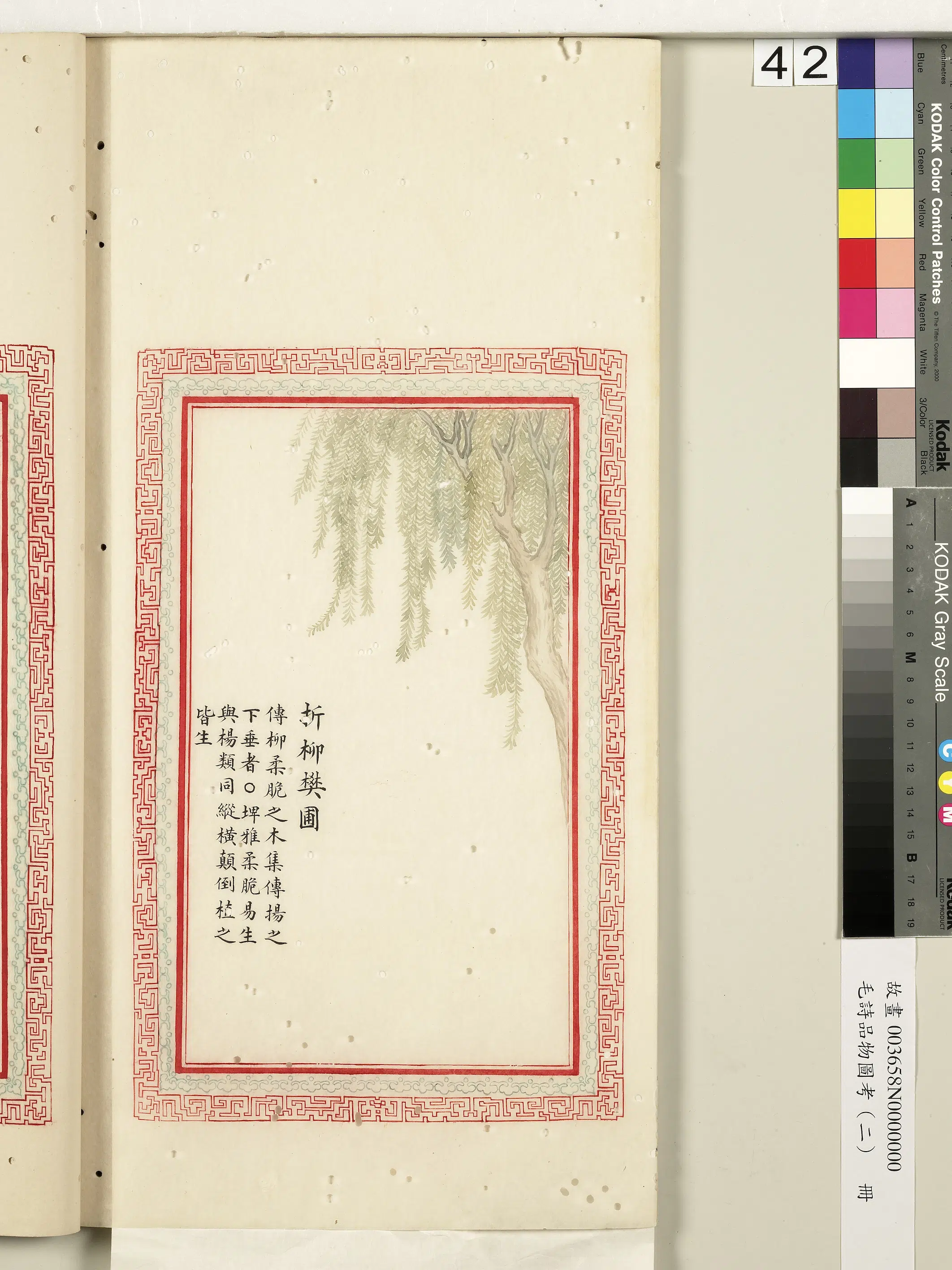 清朝【佚名】《毛诗品物图考（二）册-折柳樊圃-2》