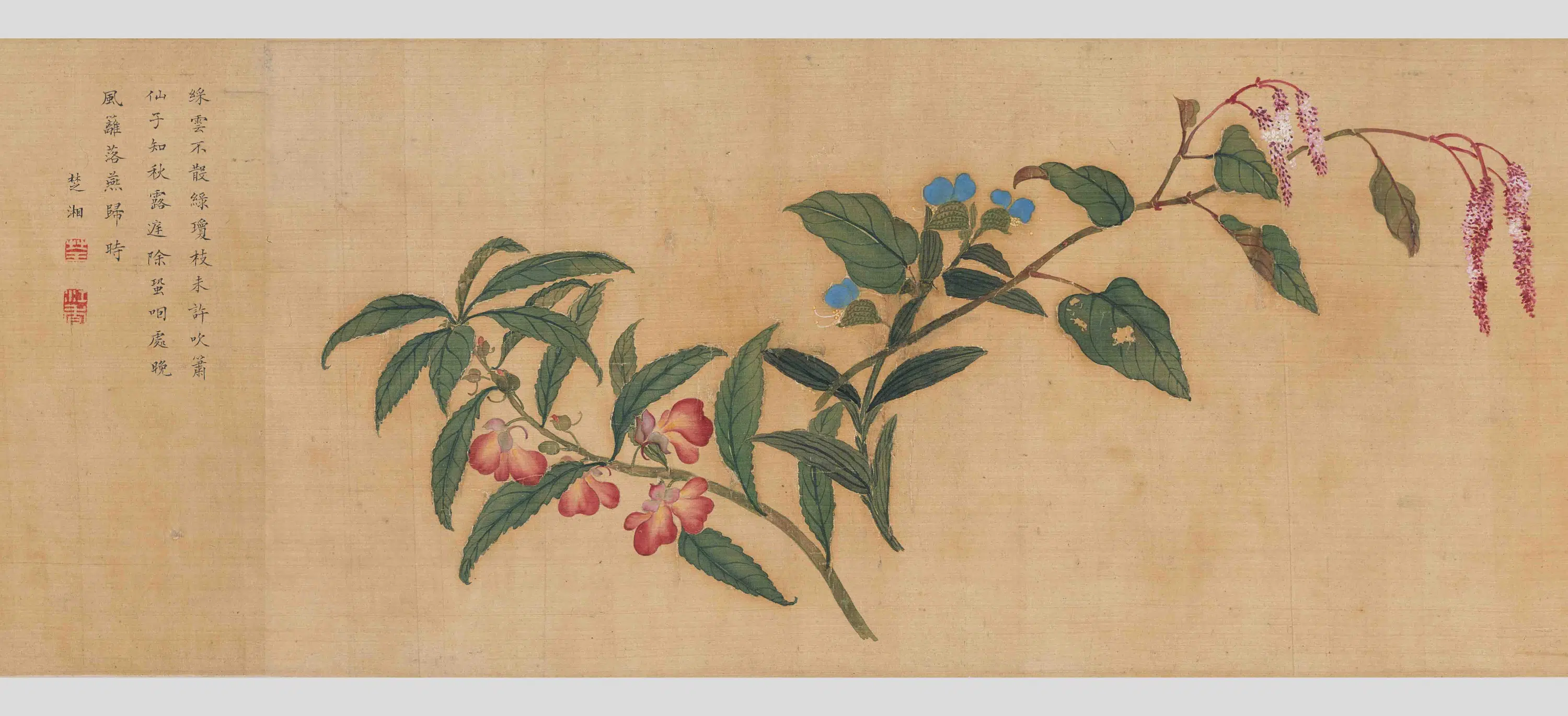 清代【马荃】《四季花卉卷》 第6张 清代【马荃】《四季花卉卷》 第6张