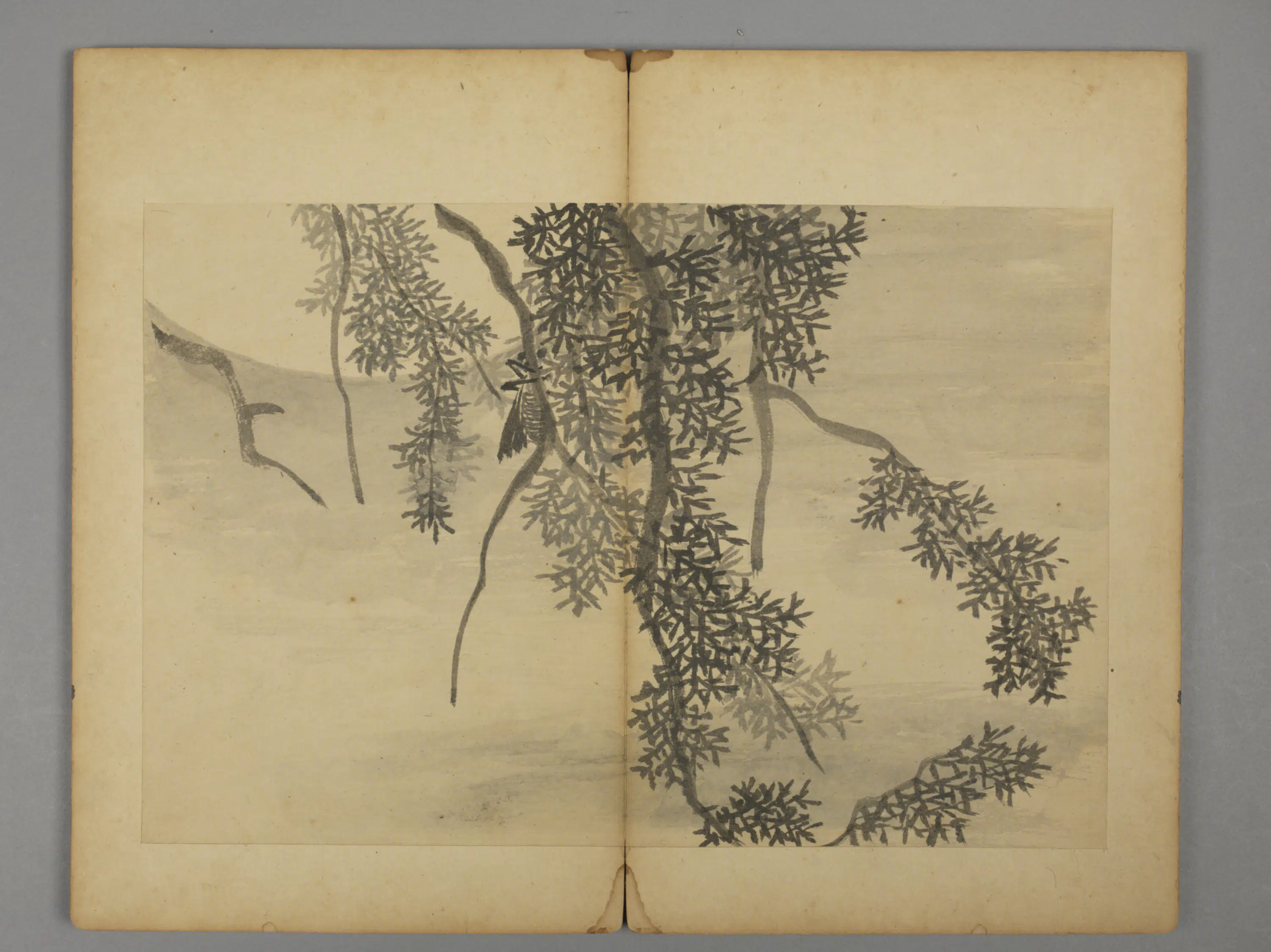 清代【王六真】《杂画册》 第5张